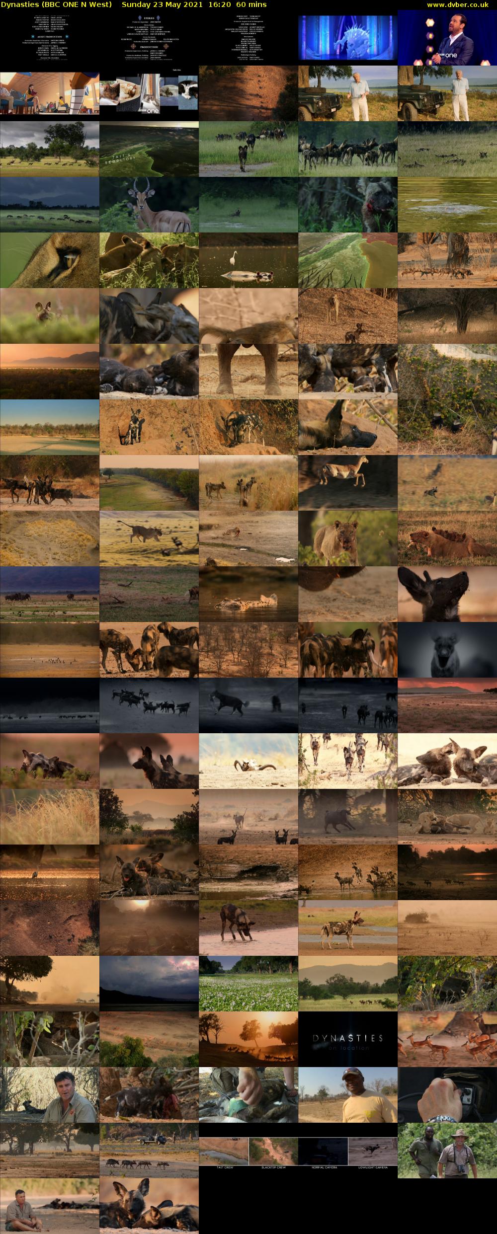 Dynasties (BBC ONE N West) Sunday 23 May 2021 16:20 - 17:20