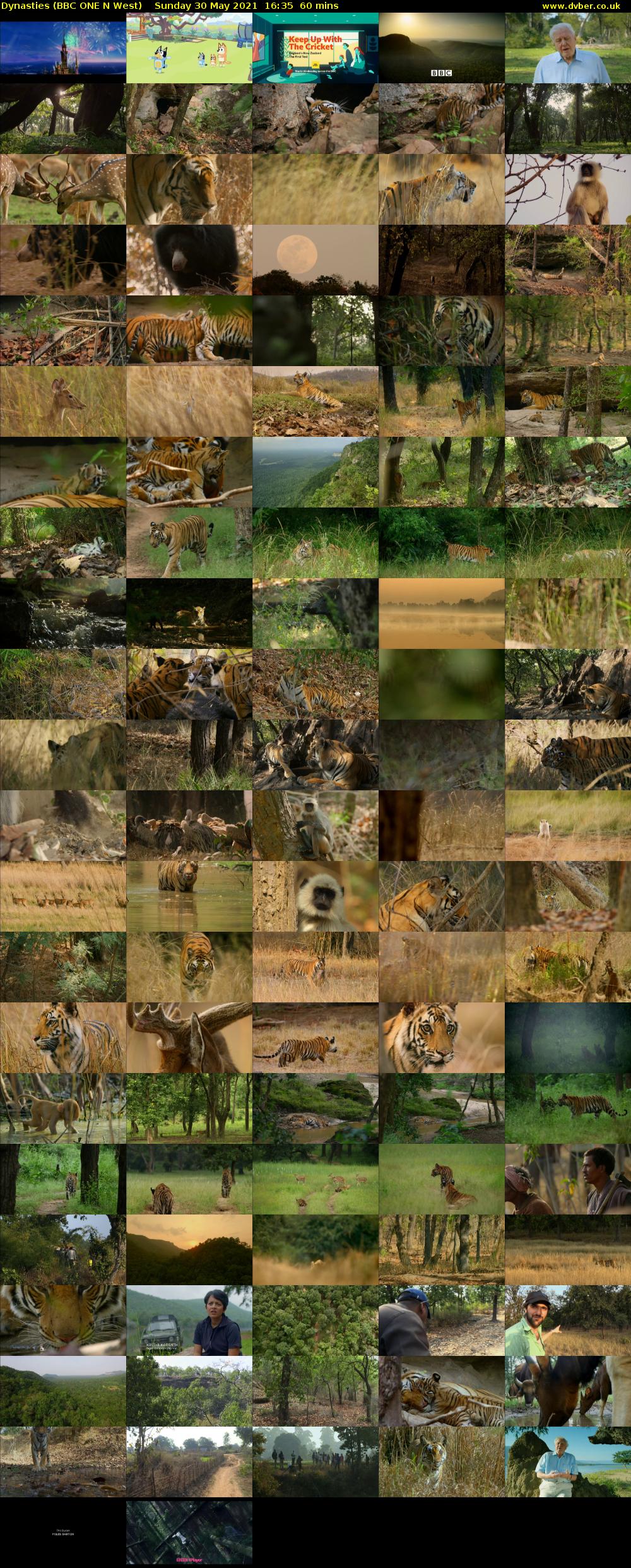 Dynasties (BBC ONE N West) Sunday 30 May 2021 16:35 - 17:35