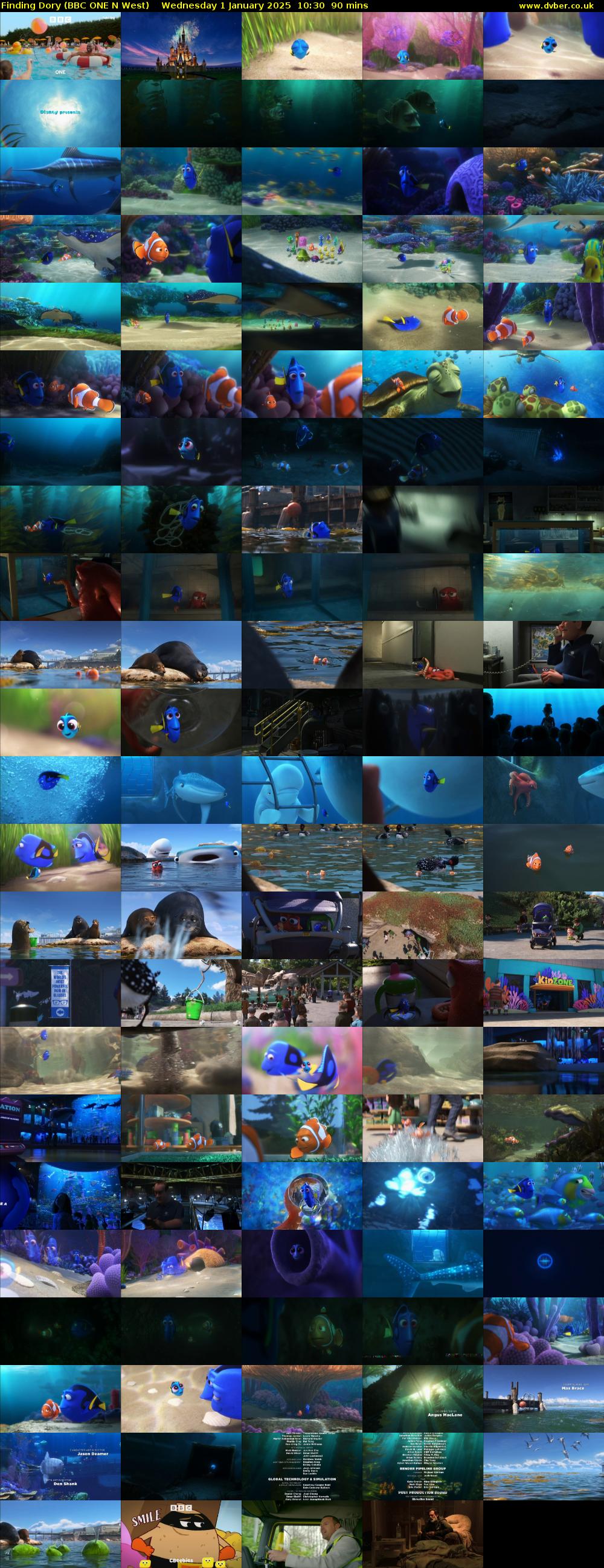Finding Dory (BBC ONE N West) Wednesday 1 January 2025 10:30 - 12:00