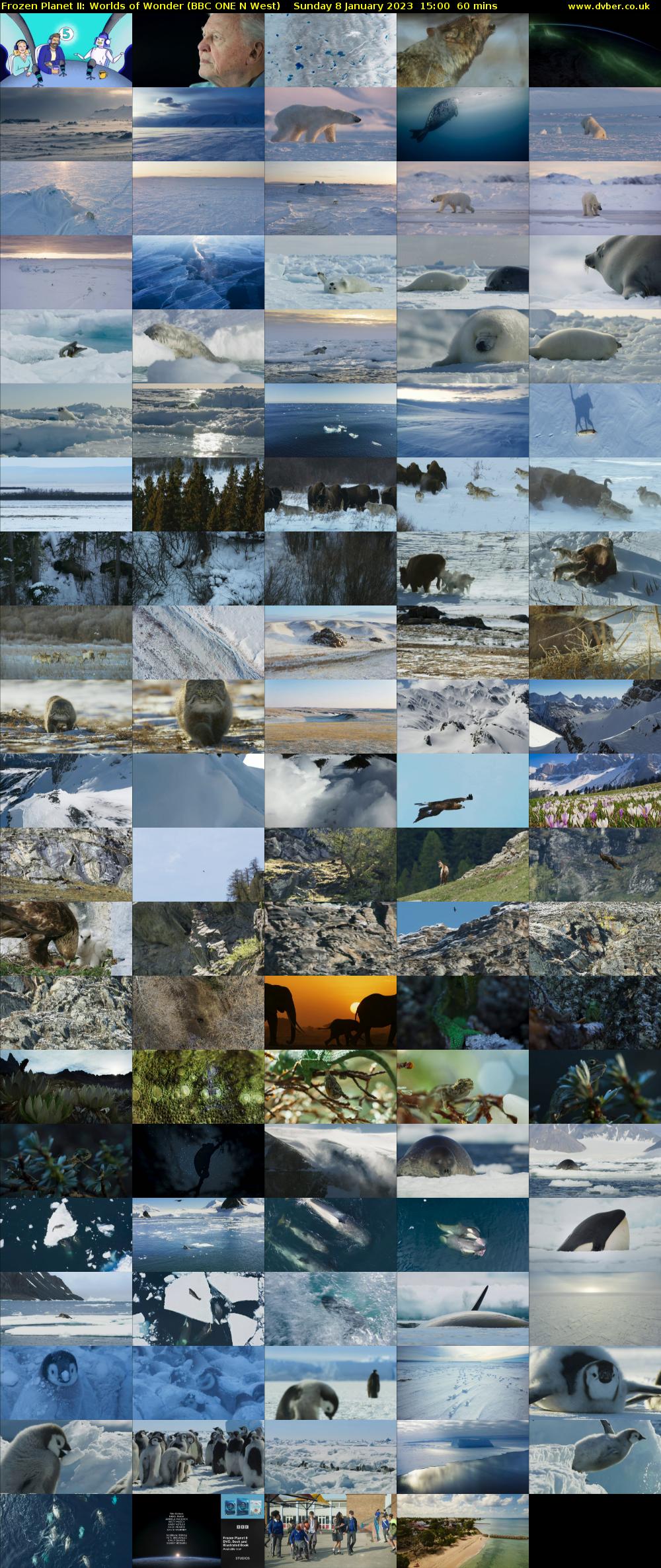 Frozen Planet II: Worlds of Wonder (BBC ONE N West) Sunday 8 January 2023 15:00 - 16:00