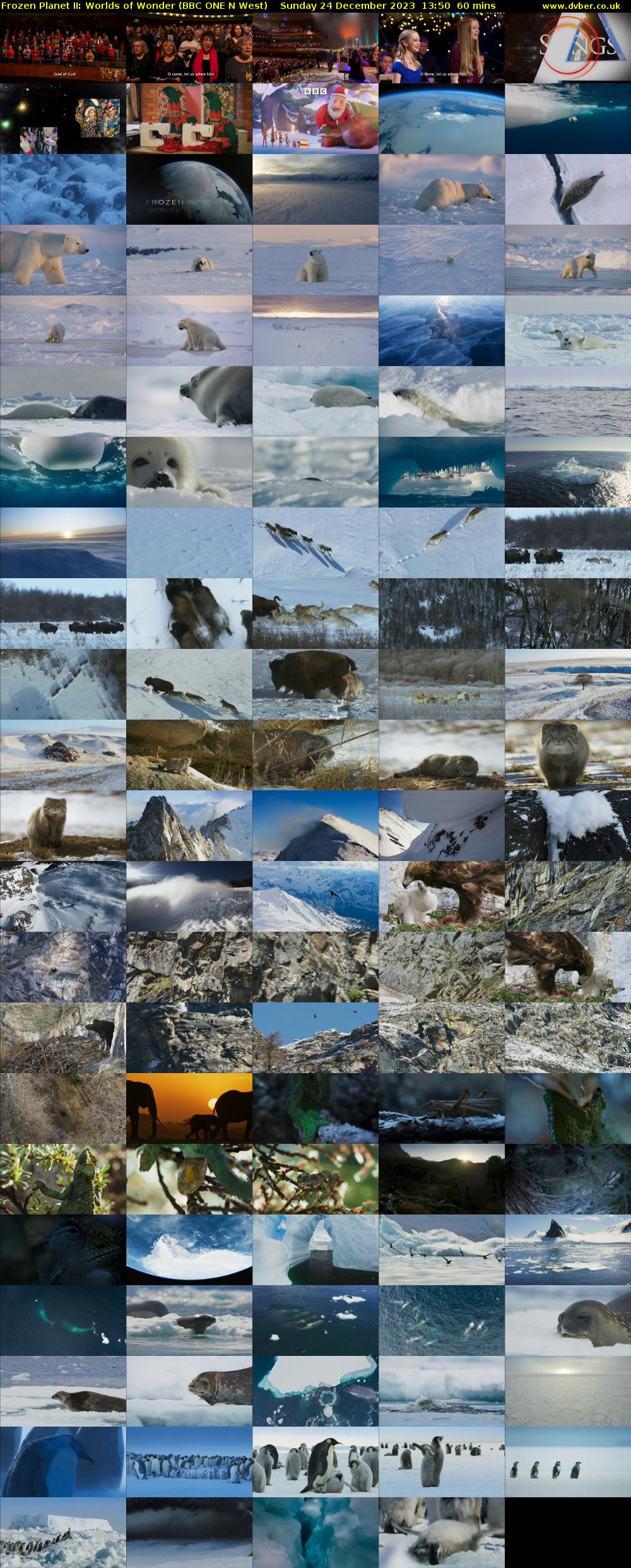 Frozen Planet II: Worlds of Wonder (BBC ONE N West) Sunday 24 December 2023 13:50 - 14:50