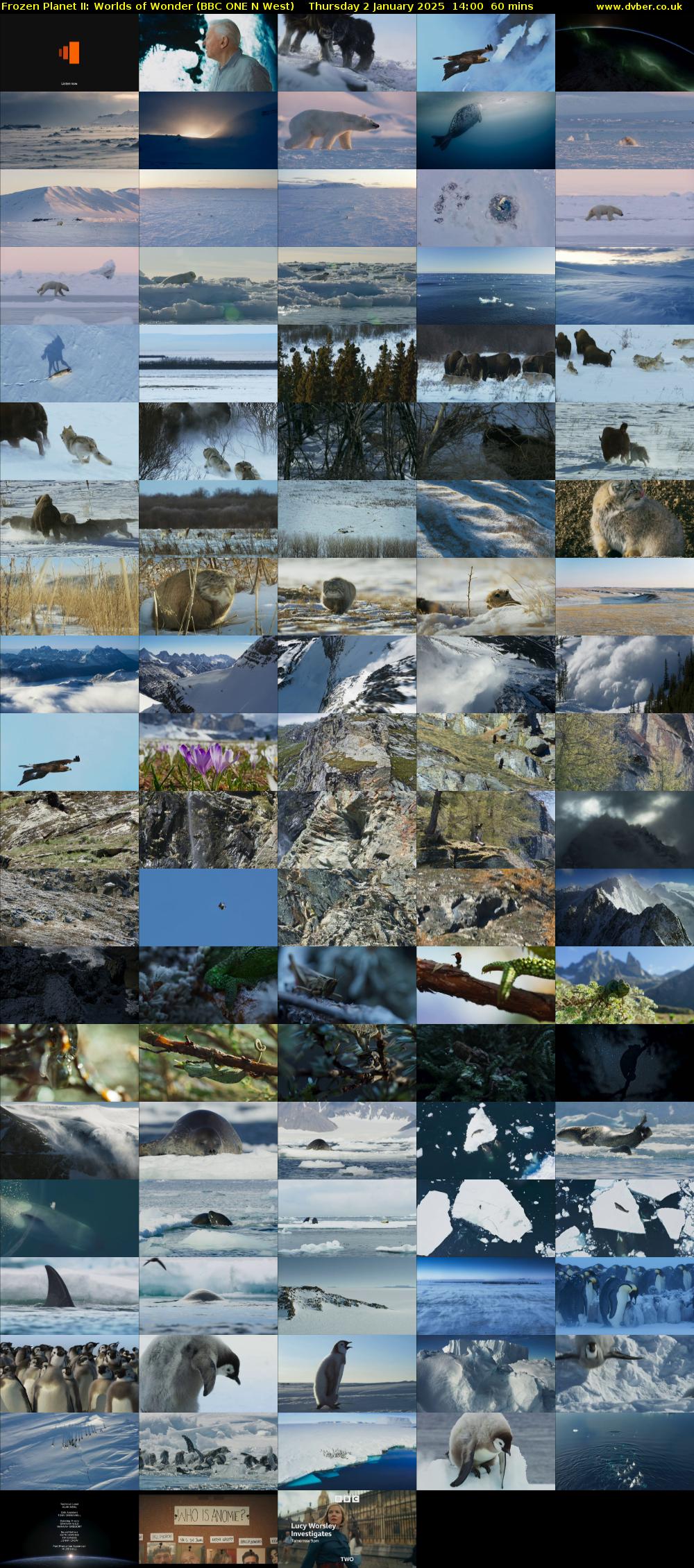 Frozen Planet II: Worlds of Wonder (BBC ONE N West) Thursday 2 January 2025 14:00 - 15:00