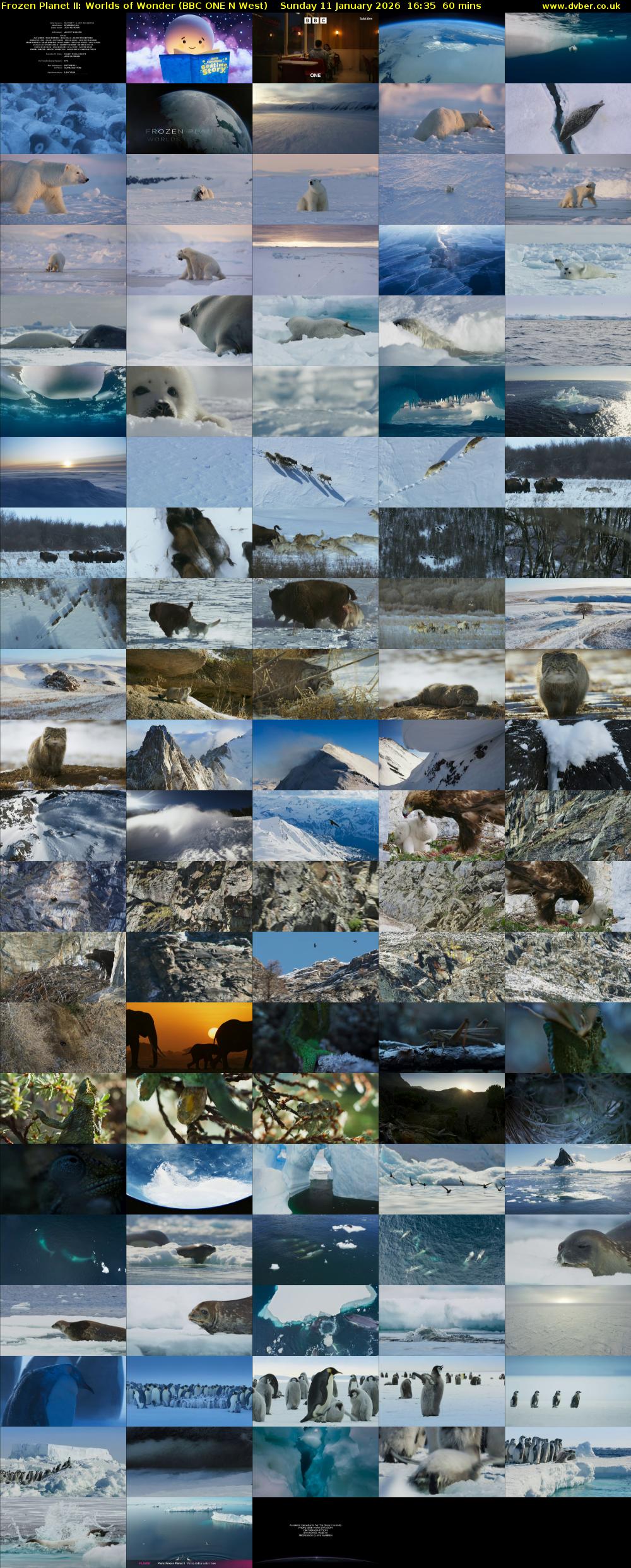 Frozen Planet II: Worlds of Wonder (BBC ONE N West) Sunday 11 January 2026 16:35 - 17:35