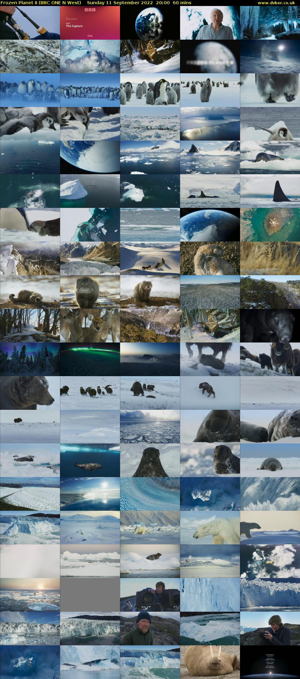 Frozen Planet II (BBC ONE N West) Sunday 11 September 2022 20:00 - 21:00