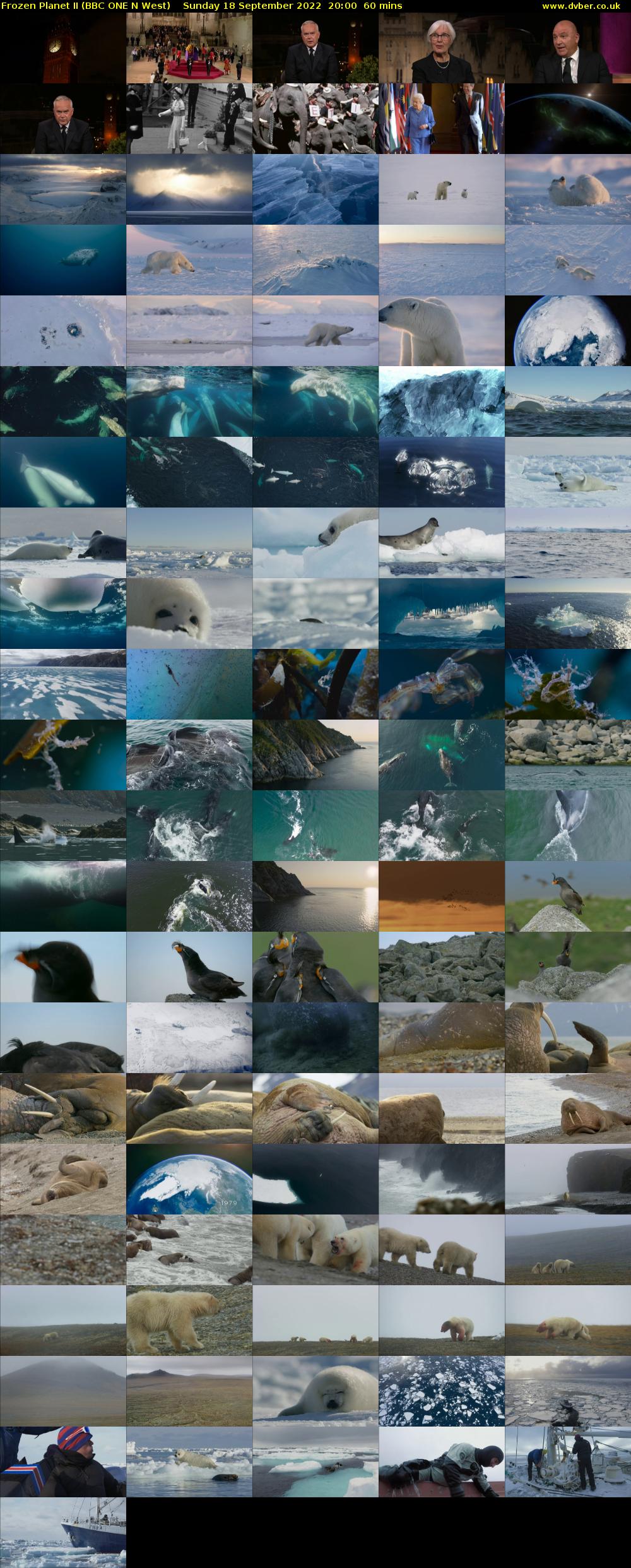 Frozen Planet II (BBC ONE N West) Sunday 18 September 2022 20:00 - 21:00