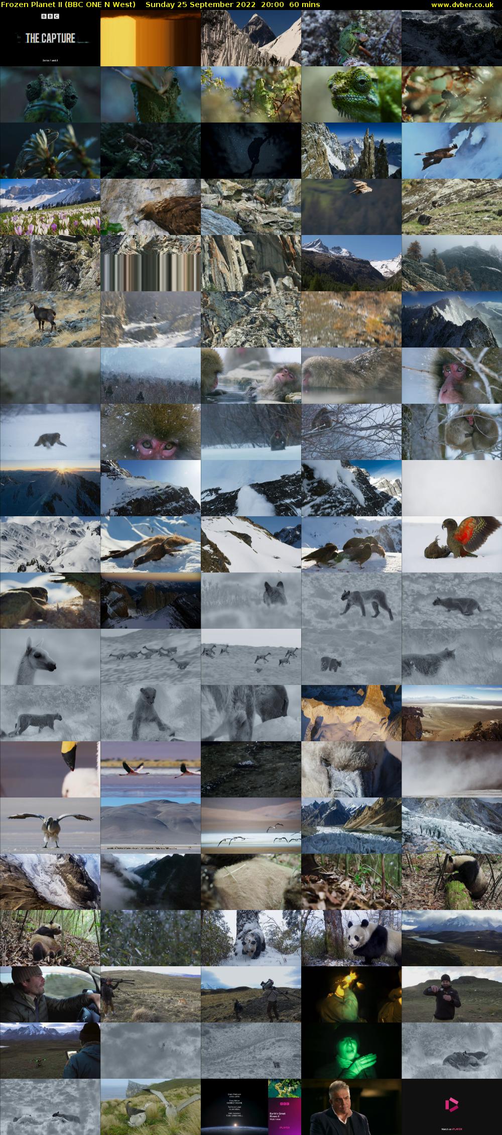 Frozen Planet II (BBC ONE N West) Sunday 25 September 2022 20:00 - 21:00