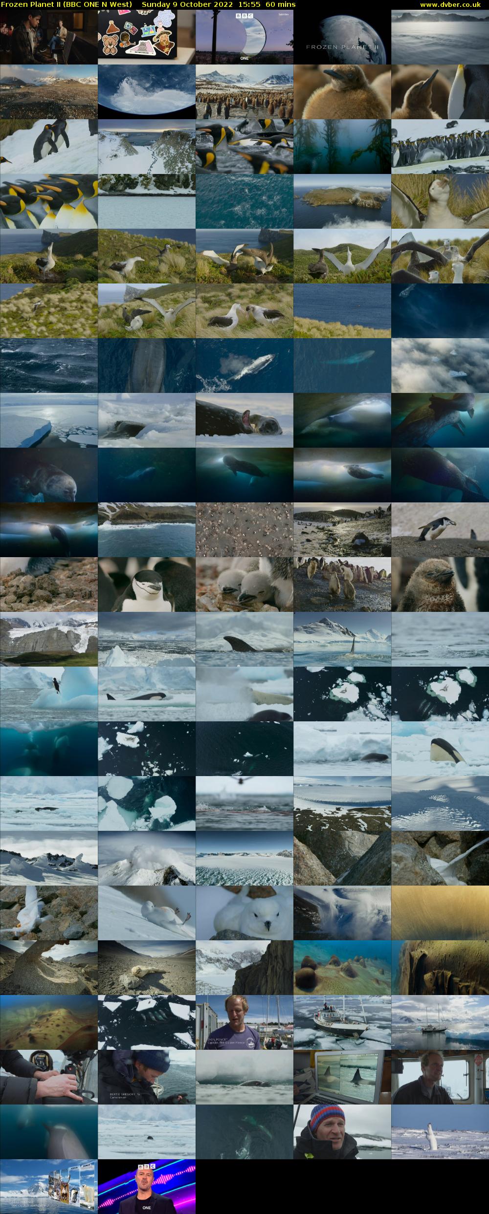 Frozen Planet II (BBC ONE N West) Sunday 9 October 2022 15:55 - 16:55