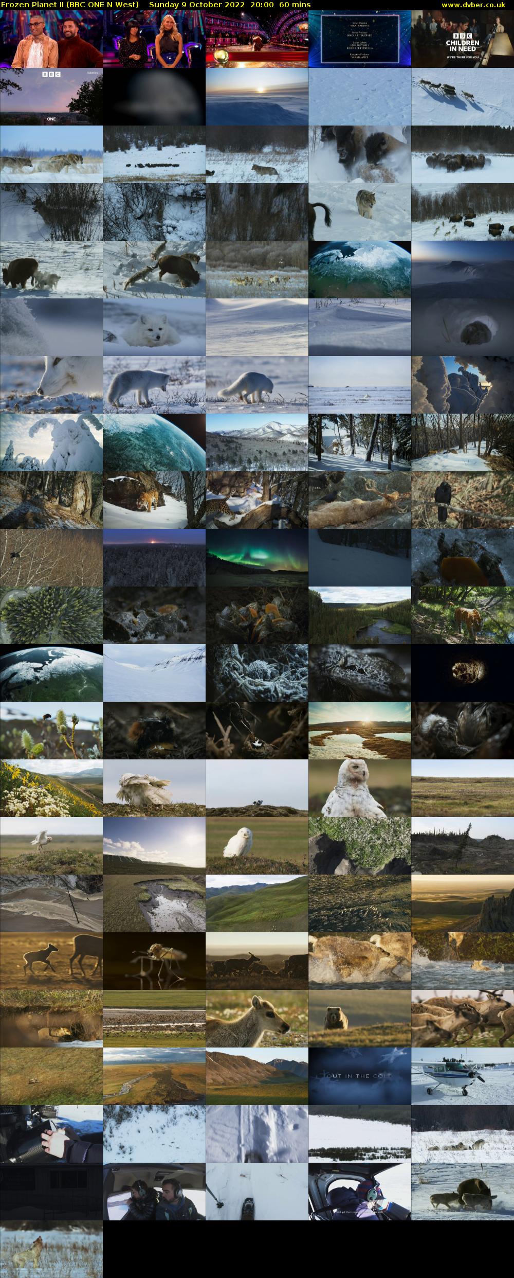 Frozen Planet II (BBC ONE N West) Sunday 9 October 2022 20:00 - 21:00