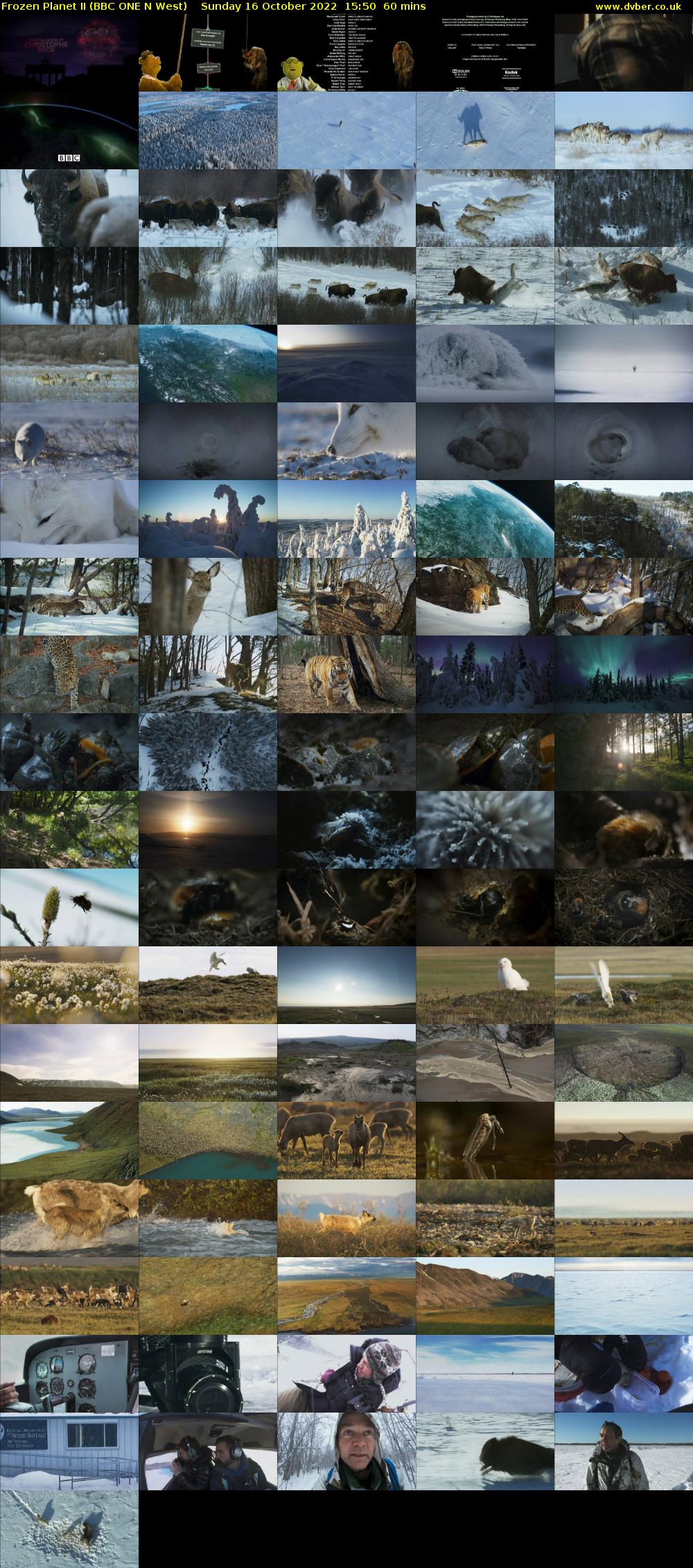 Frozen Planet II (BBC ONE N West) Sunday 16 October 2022 15:50 - 16:50
