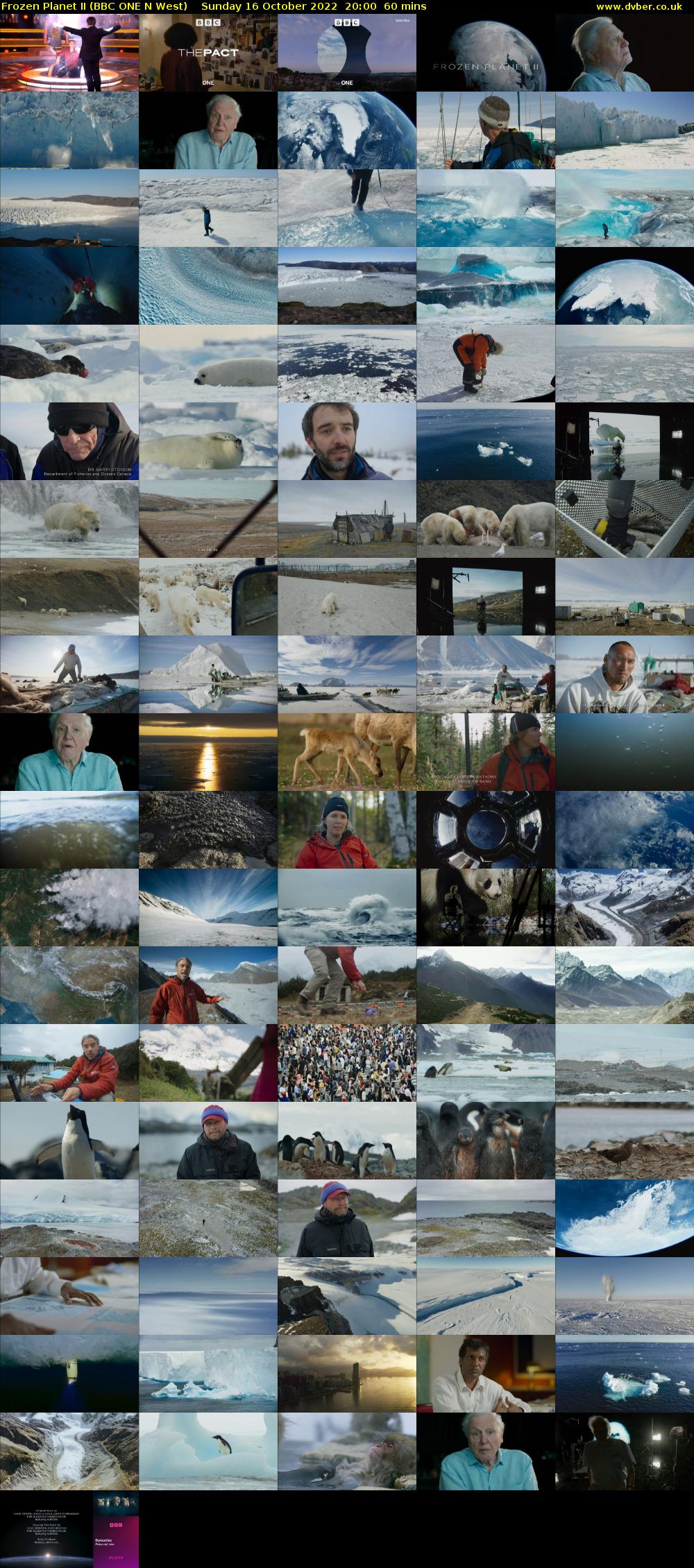 Frozen Planet II (BBC ONE N West) Sunday 16 October 2022 20:00 - 21:00