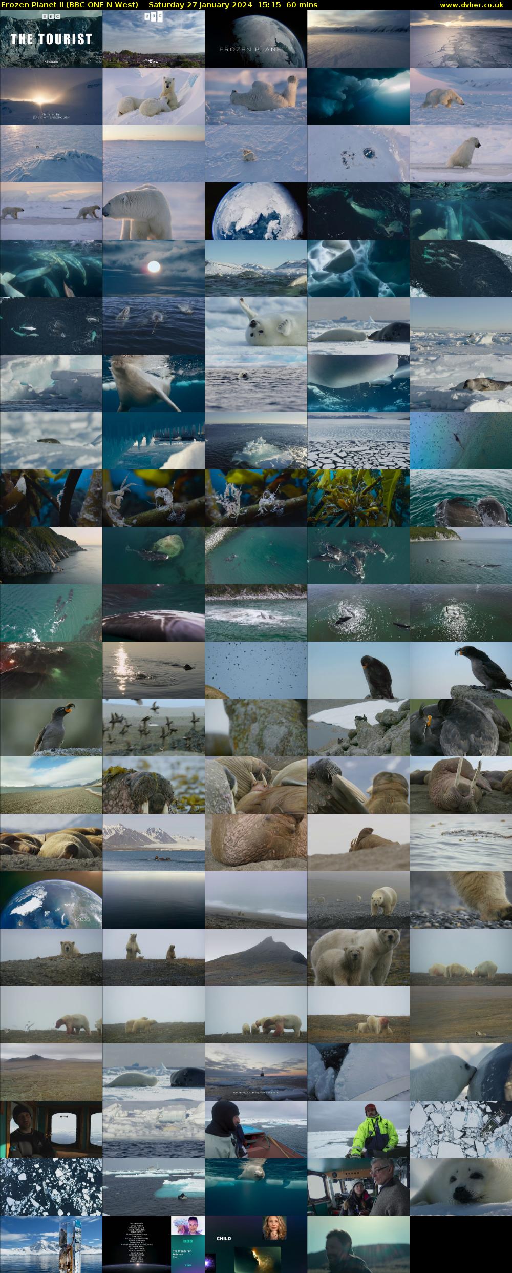 Frozen Planet II (BBC ONE N West) Saturday 27 January 2024 15:15 - 16:15