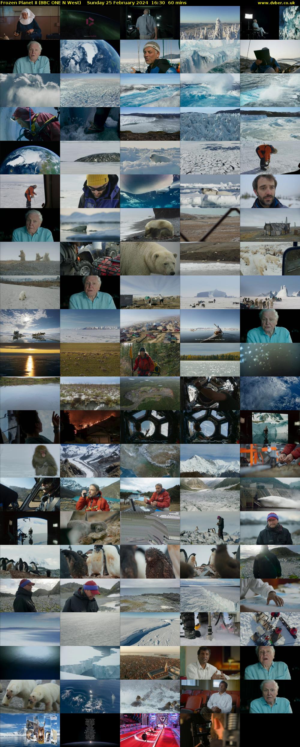 Frozen Planet II (BBC ONE N West) Sunday 25 February 2024 16:30 - 17:30