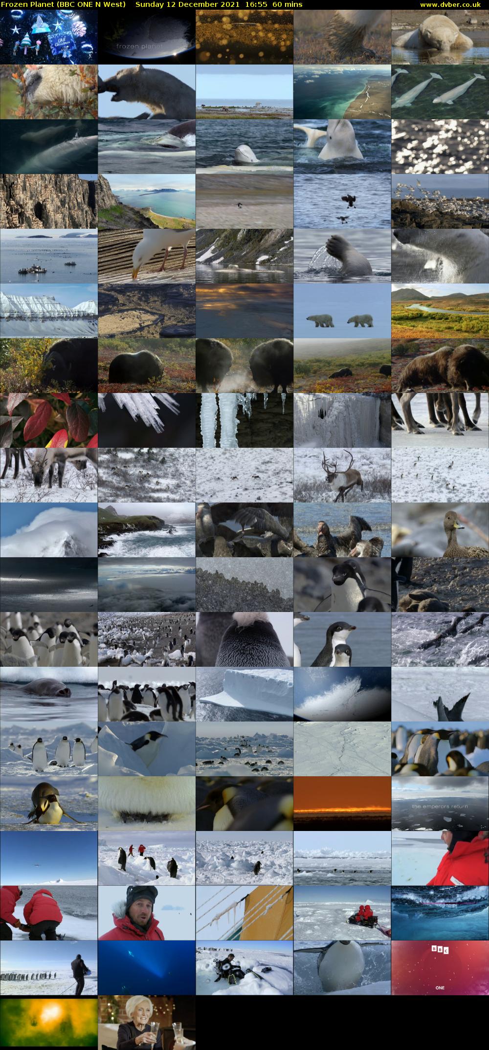 Frozen Planet (BBC ONE N West) Sunday 12 December 2021 16:55 - 17:55