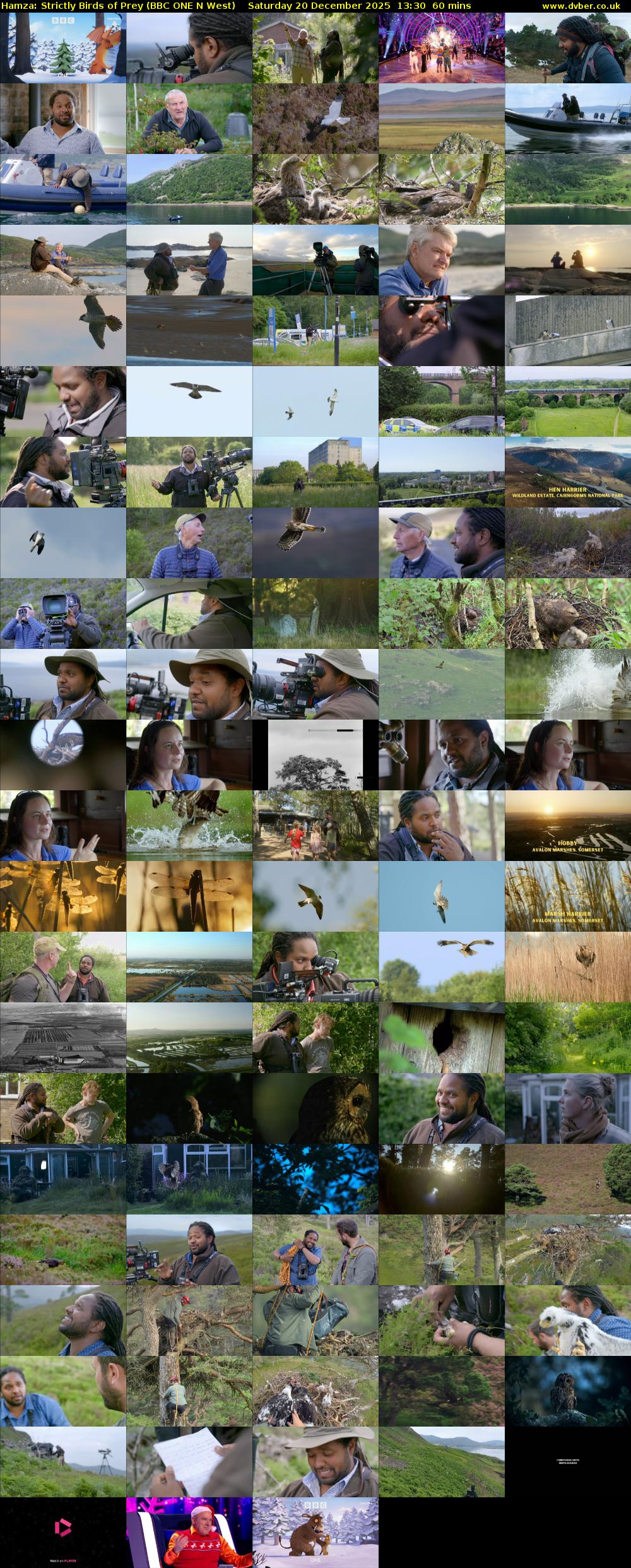 Hamza: Strictly Birds of Prey (BBC ONE N West) Saturday 20 December 2025 13:30 - 14:30