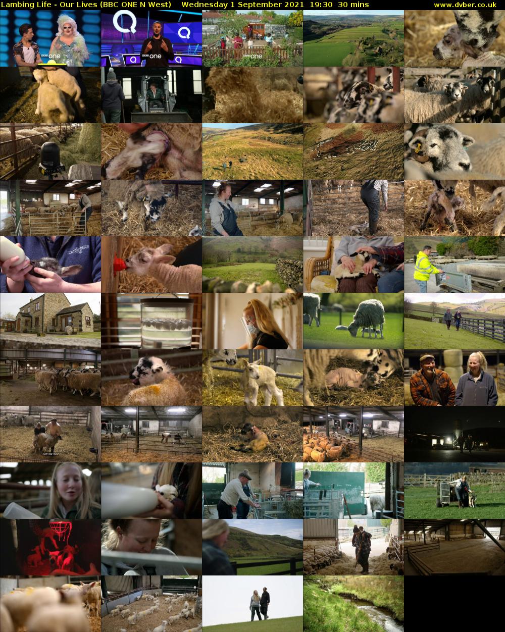 Lambing Life - Our Lives (BBC ONE N West) Wednesday 1 September 2021 19:30 - 20:00