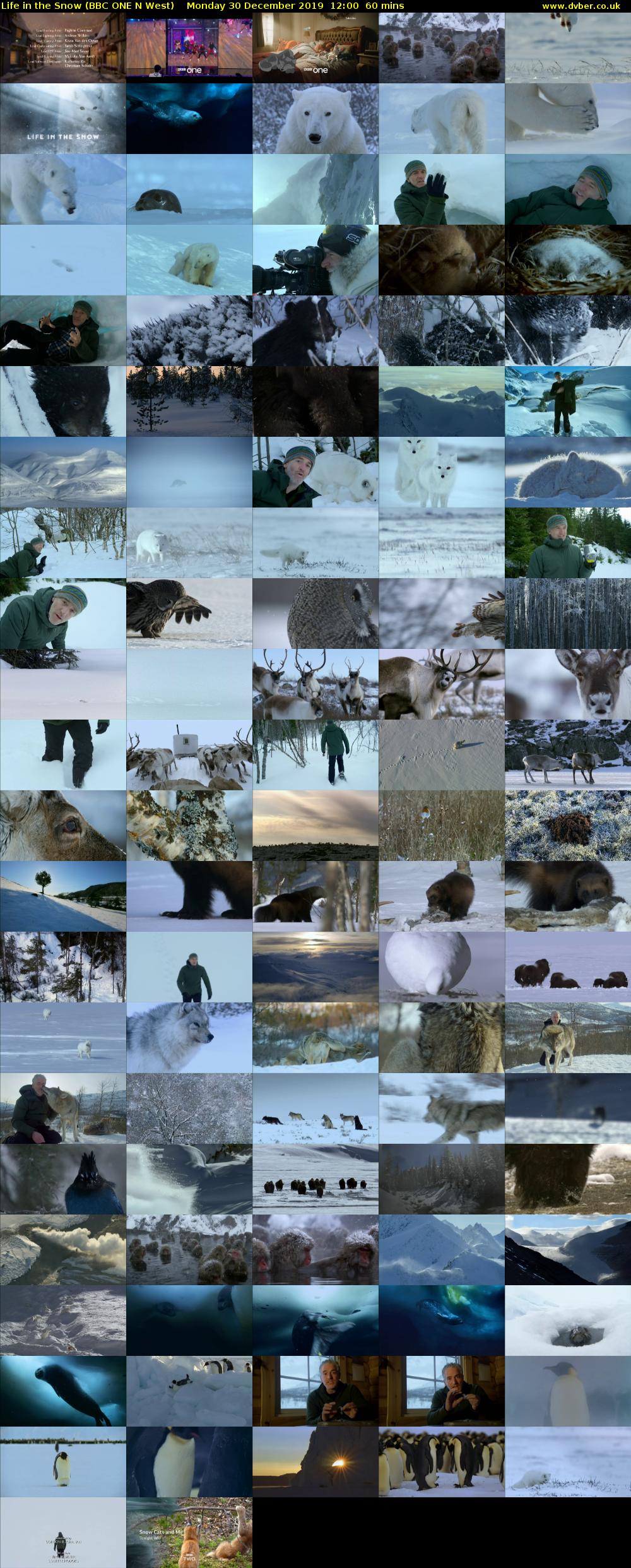 Life in the Snow (BBC ONE N West) Monday 30 December 2019 12:00 - 13:00