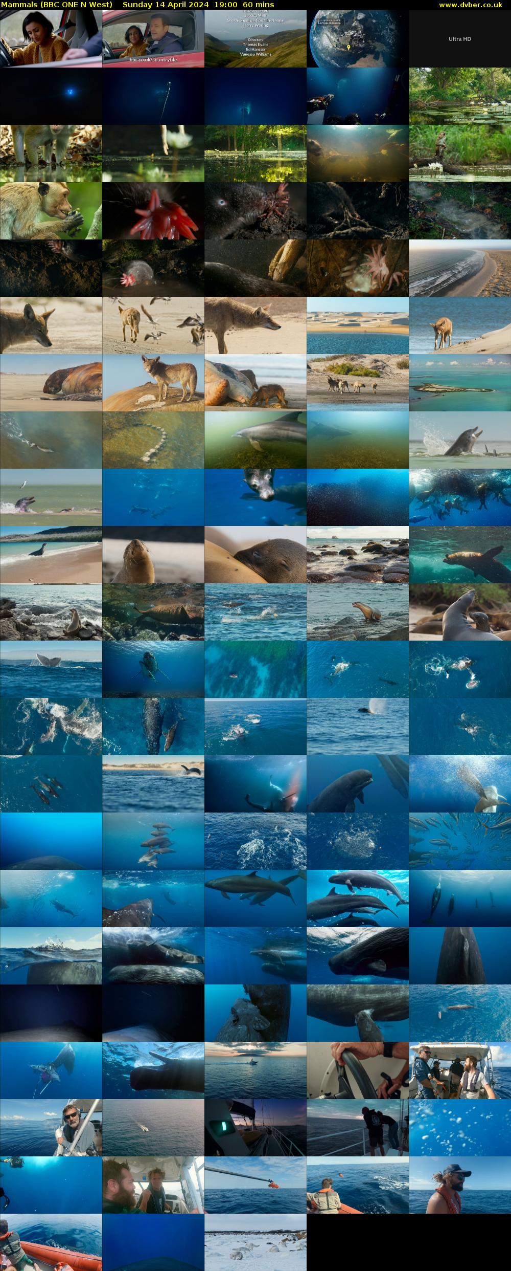 Mammals (BBC ONE N West) Sunday 14 April 2024 19:00 - 20:00