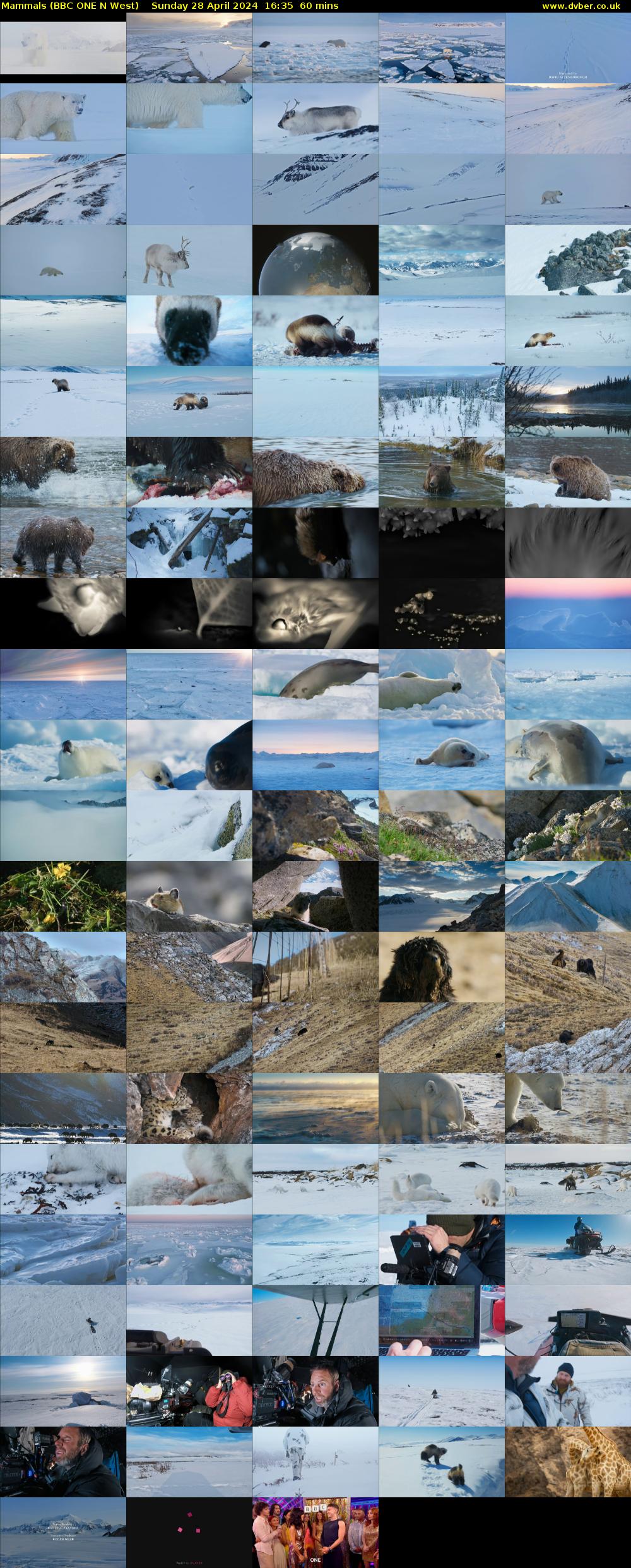 Mammals (BBC ONE N West) Sunday 28 April 2024 16:35 - 17:35