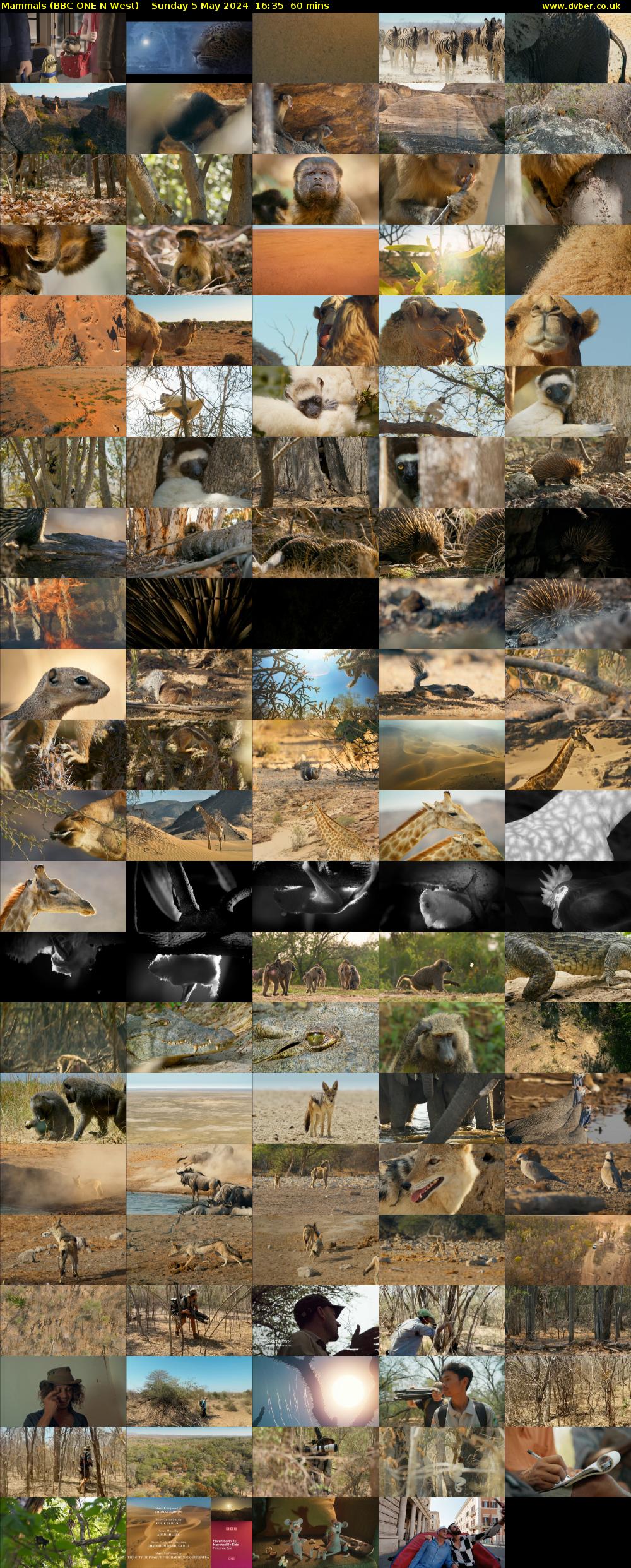 Mammals (BBC ONE N West) Sunday 5 May 2024 16:35 - 17:35