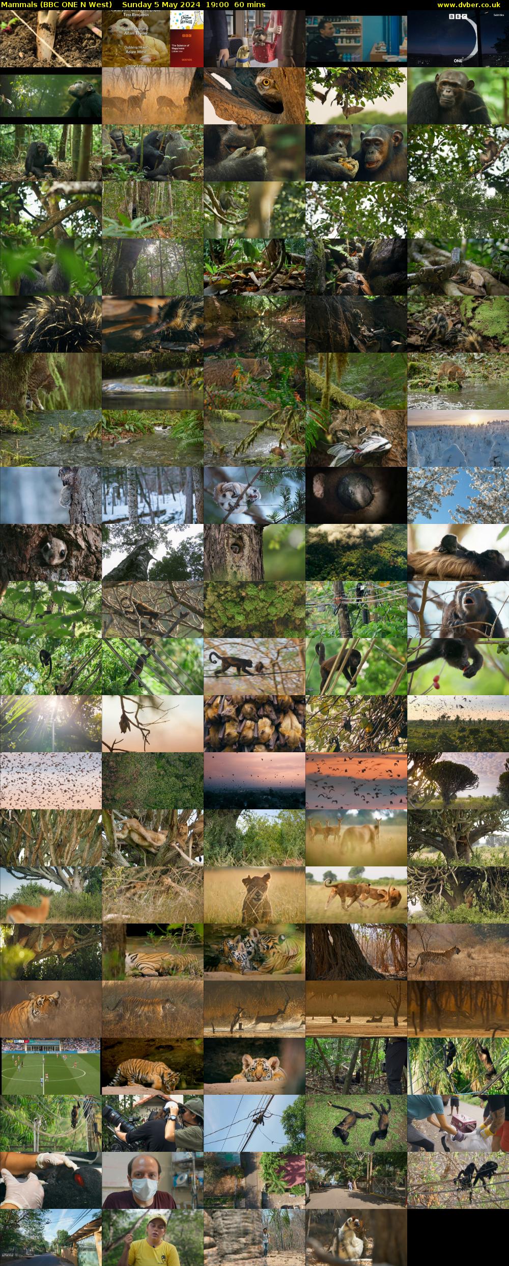 Mammals (BBC ONE N West) Sunday 5 May 2024 19:00 - 20:00