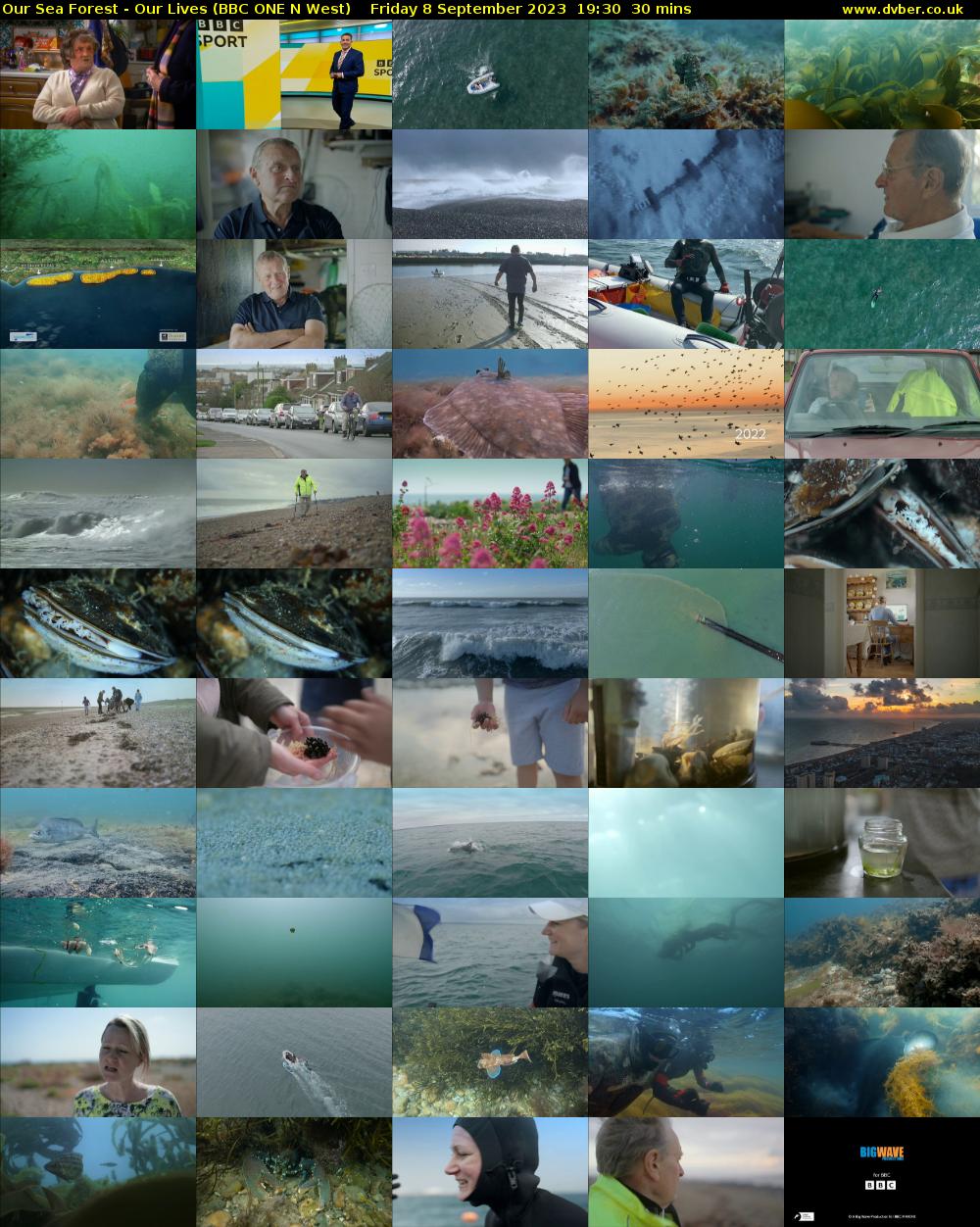 Our Sea Forest - Our Lives (BBC ONE N West) Friday 8 September 2023 19:30 - 20:00