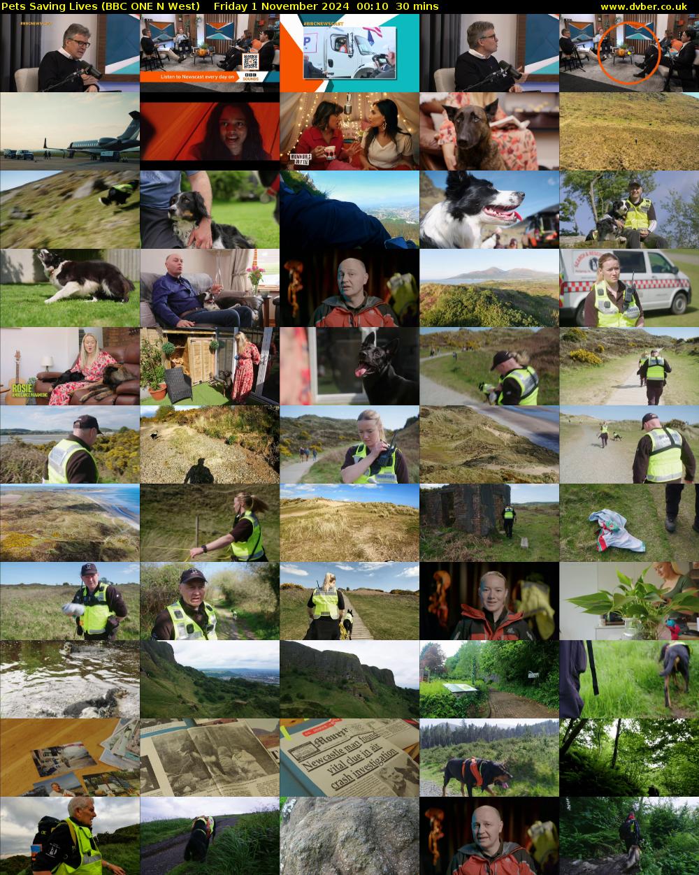 Pets Saving Lives (BBC ONE N West) Friday 1 November 2024 00:10 - 00:40
