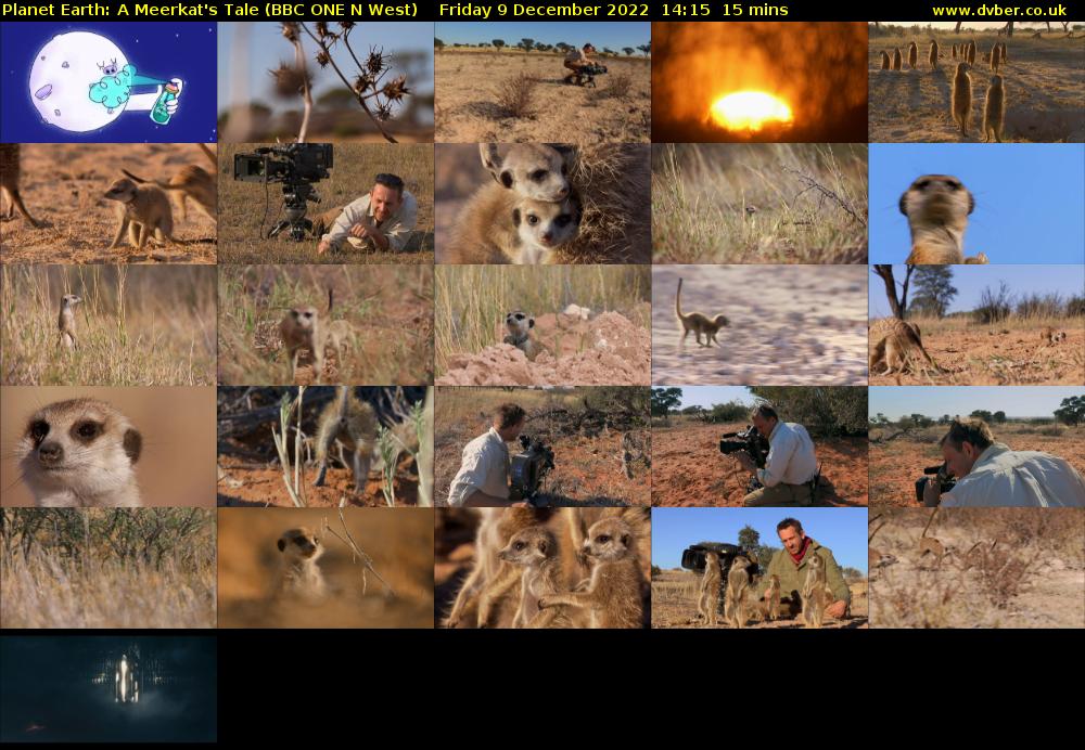 Planet Earth: A Meerkat's Tale (BBC ONE N West) Friday 9 December 2022 14:15 - 14:30
