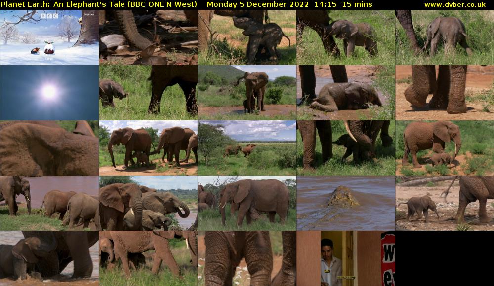 Planet Earth: An Elephant's Tale (BBC ONE N West) Monday 5 December 2022 14:15 - 14:30