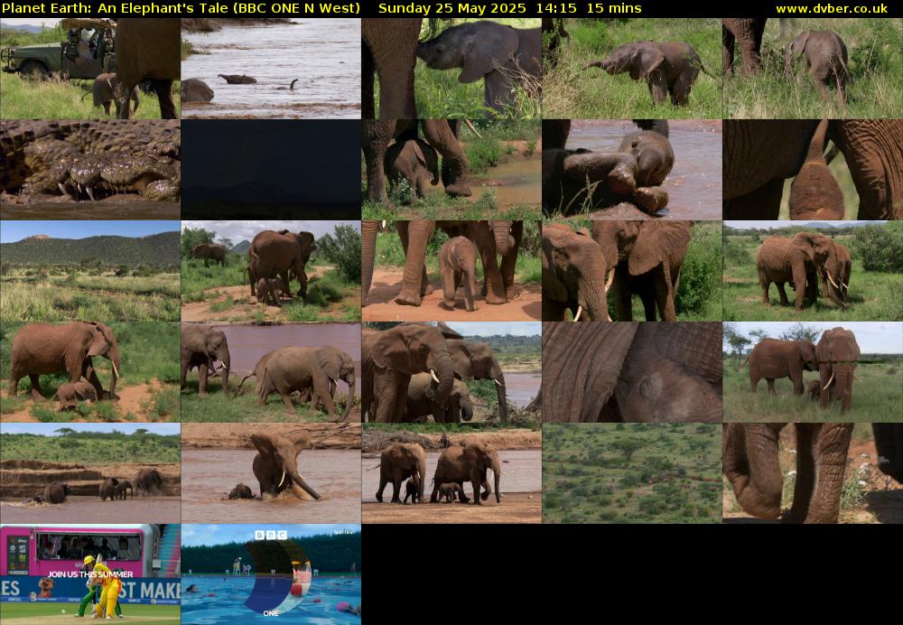 Planet Earth: An Elephant's Tale (BBC ONE N West) Sunday 25 May 2025 14:15 - 14:30