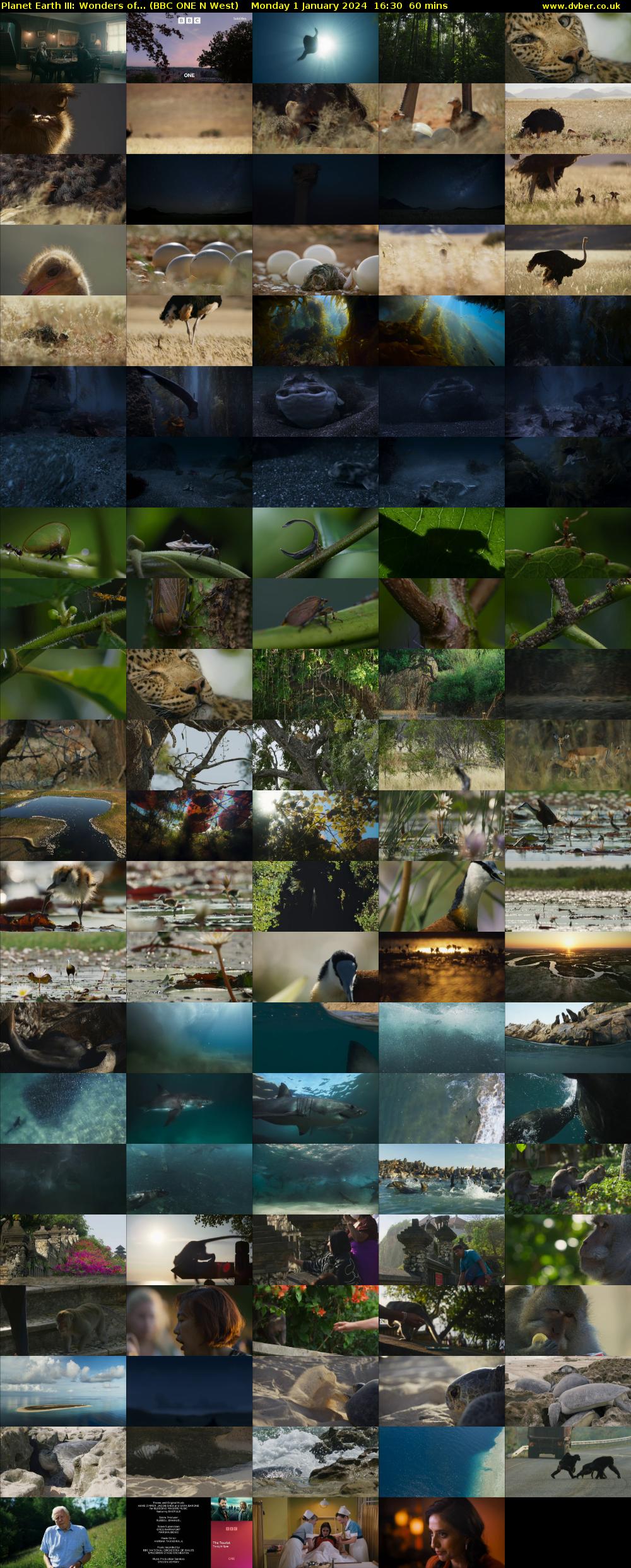 Planet Earth III: Wonders of... (BBC ONE N West) Monday 1 January 2024 16:30 - 17:30