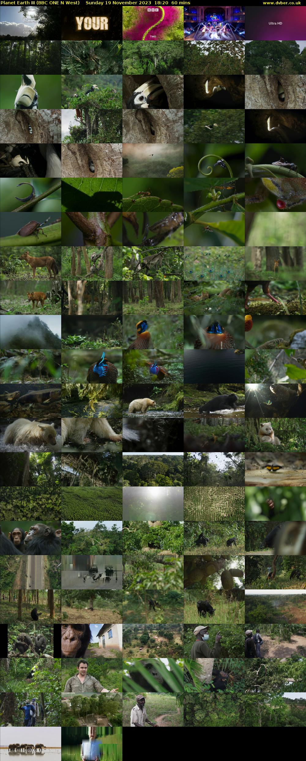 Planet Earth III (BBC ONE N West) Sunday 19 November 2023 18:20 - 19:20