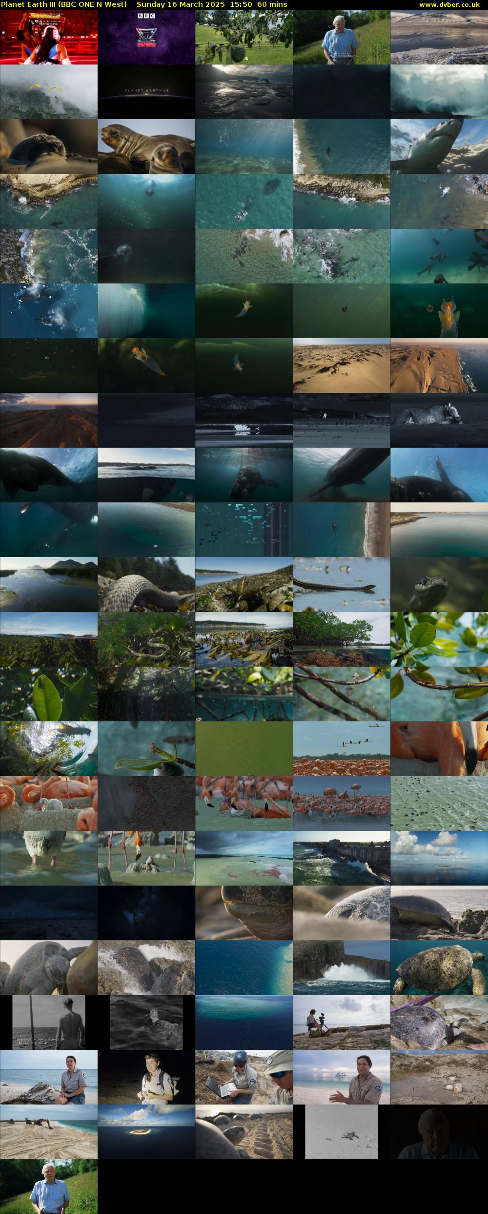 Planet Earth III (BBC ONE N West) Sunday 16 March 2025 15:50 - 16:50