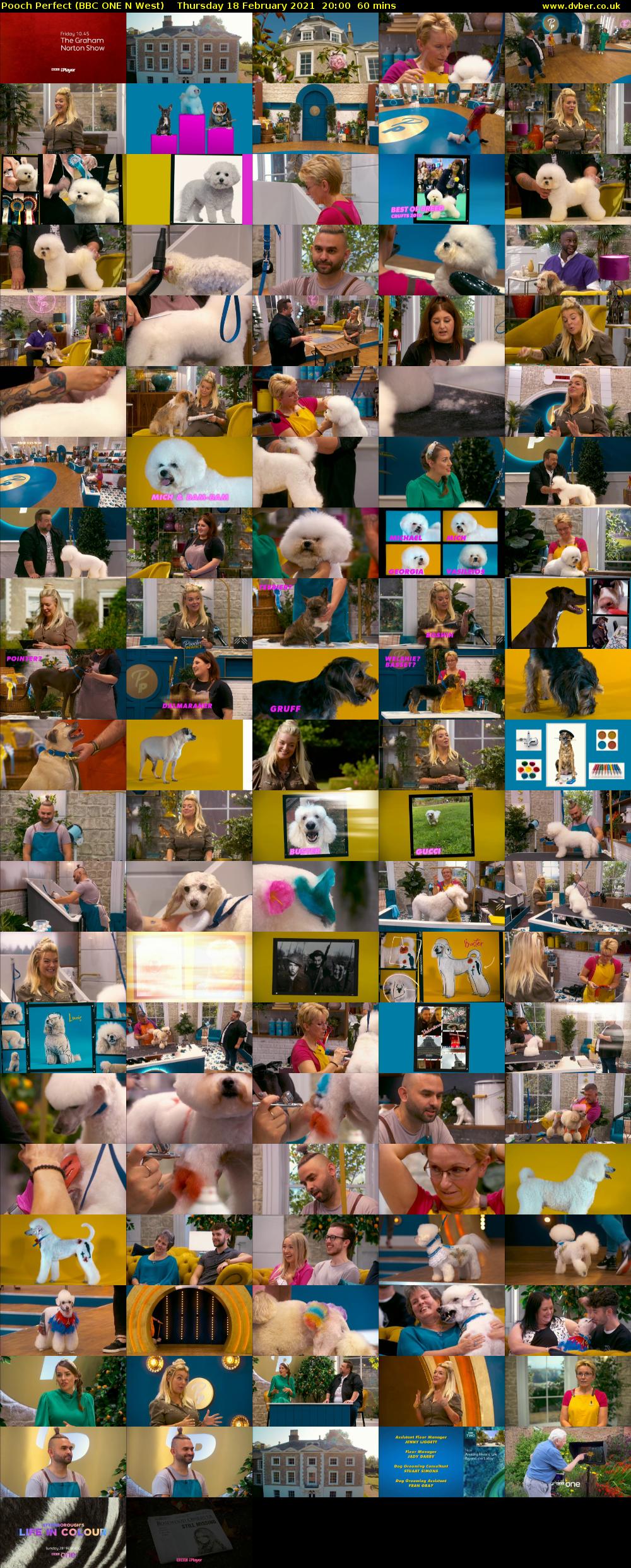 Pooch Perfect (BBC ONE N West) Thursday 18 February 2021 20:00 - 21:00