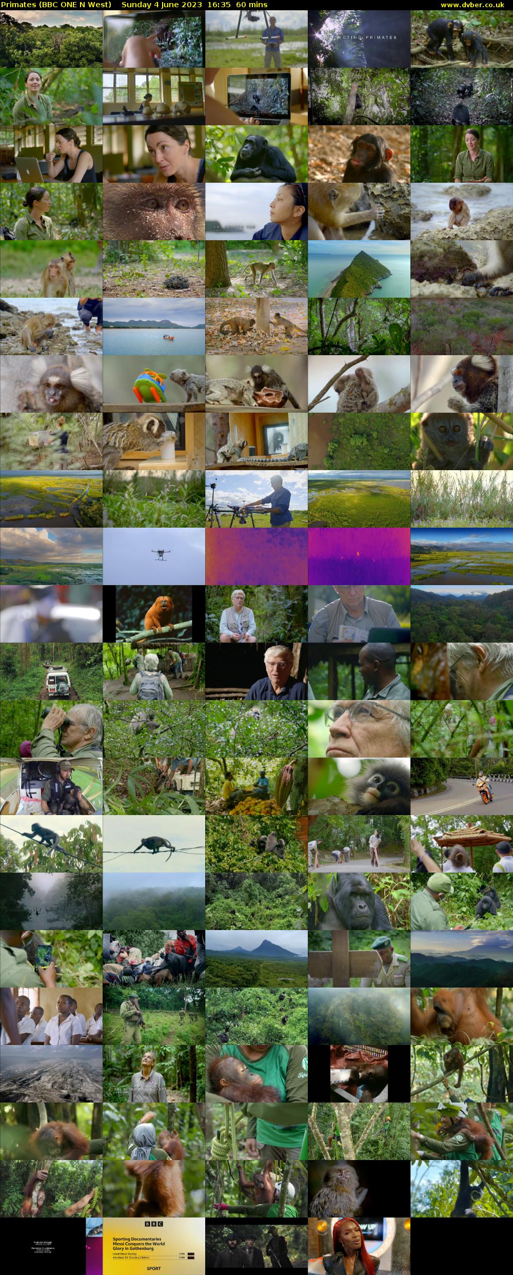 Primates (BBC ONE N West) Sunday 4 June 2023 16:35 - 17:35