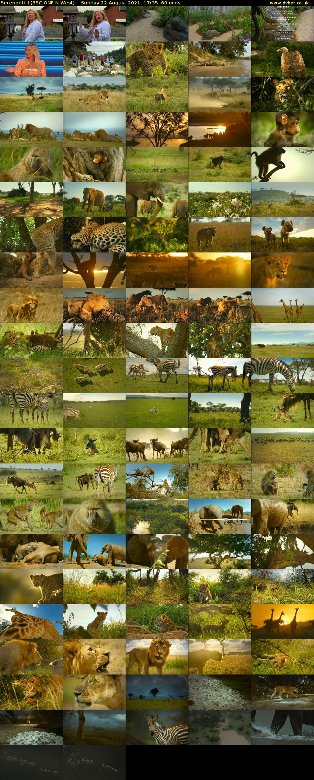Serengeti II (BBC ONE N West) Sunday 22 August 2021 17:35 - 18:35
