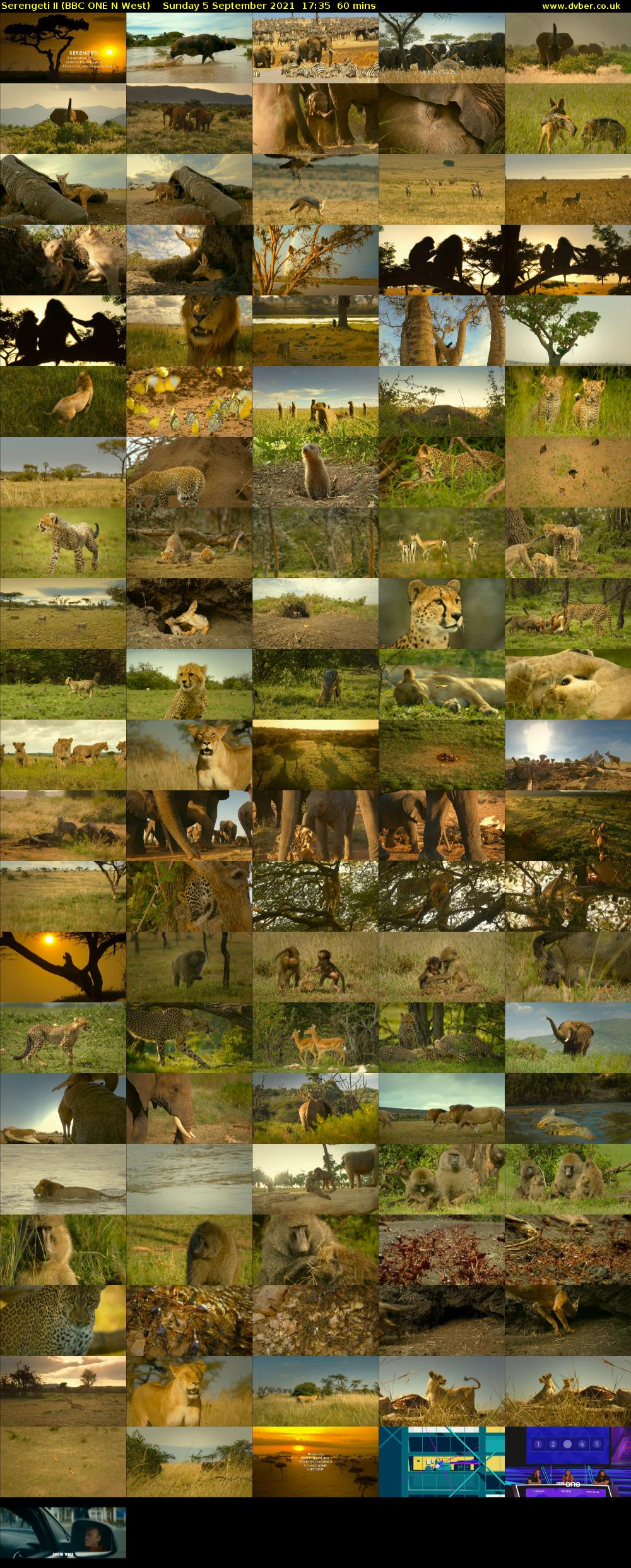 Serengeti II (BBC ONE N West) Sunday 5 September 2021 17:35 - 18:35
