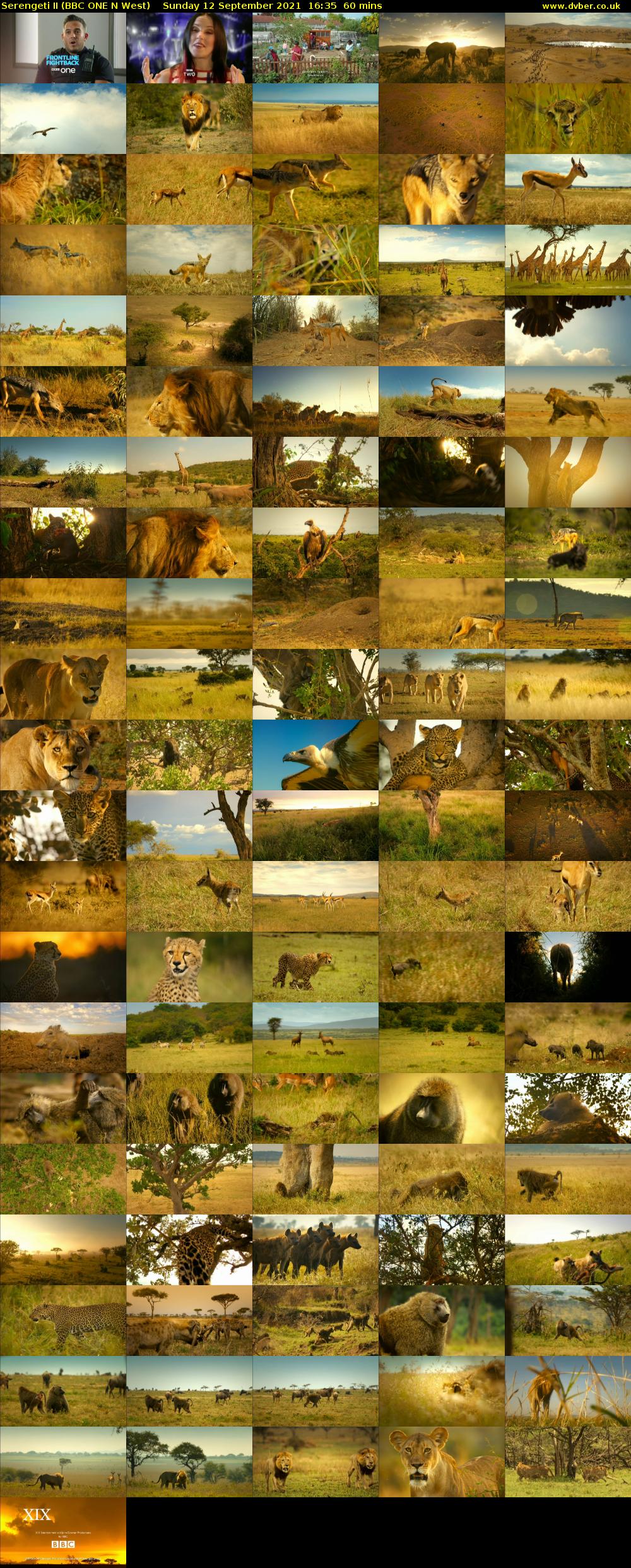 Serengeti II (BBC ONE N West) Sunday 12 September 2021 16:35 - 17:35
