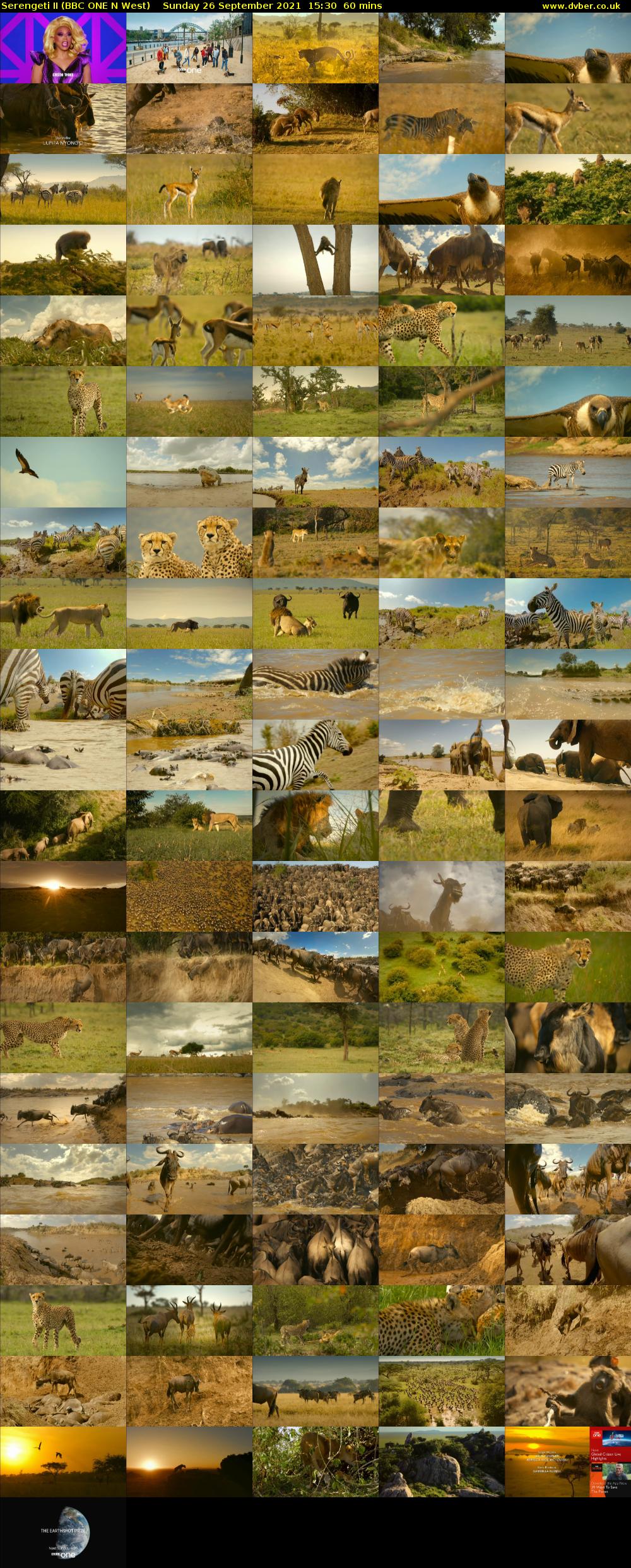 Serengeti II (BBC ONE N West) Sunday 26 September 2021 15:30 - 16:30