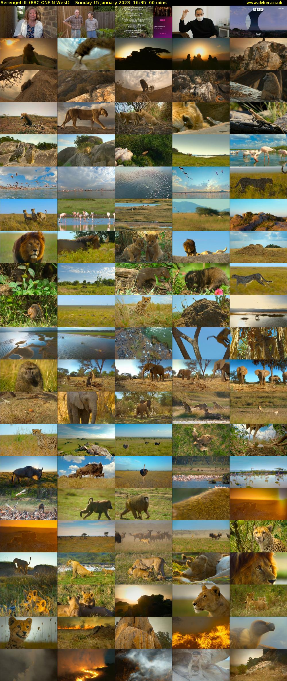 Serengeti III (BBC ONE N West) Sunday 15 January 2023 16:35 - 17:35
