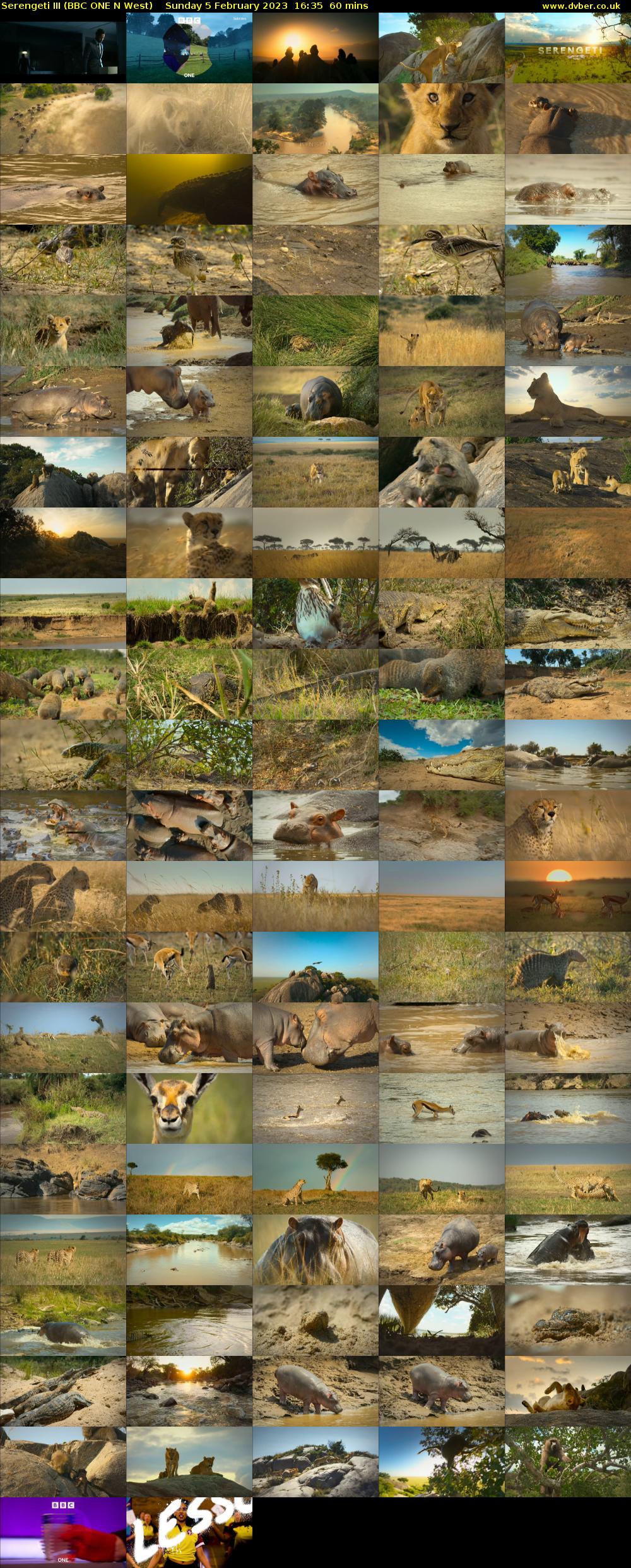 Serengeti III (BBC ONE N West) Sunday 5 February 2023 16:35 - 17:35