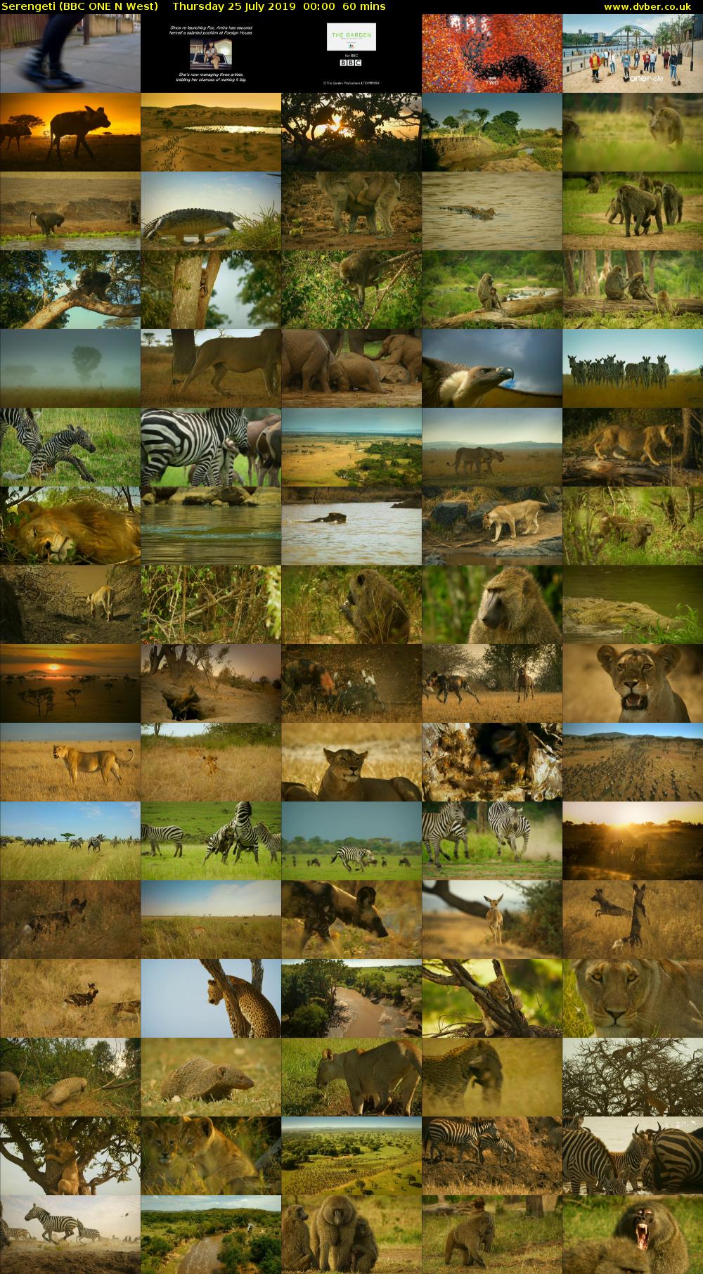 Serengeti (BBC ONE N West) Thursday 25 July 2019 00:00 - 01:00