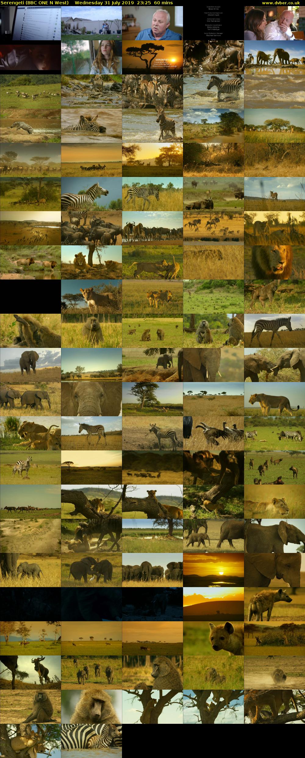 Serengeti (BBC ONE N West) Wednesday 31 July 2019 23:25 - 00:25