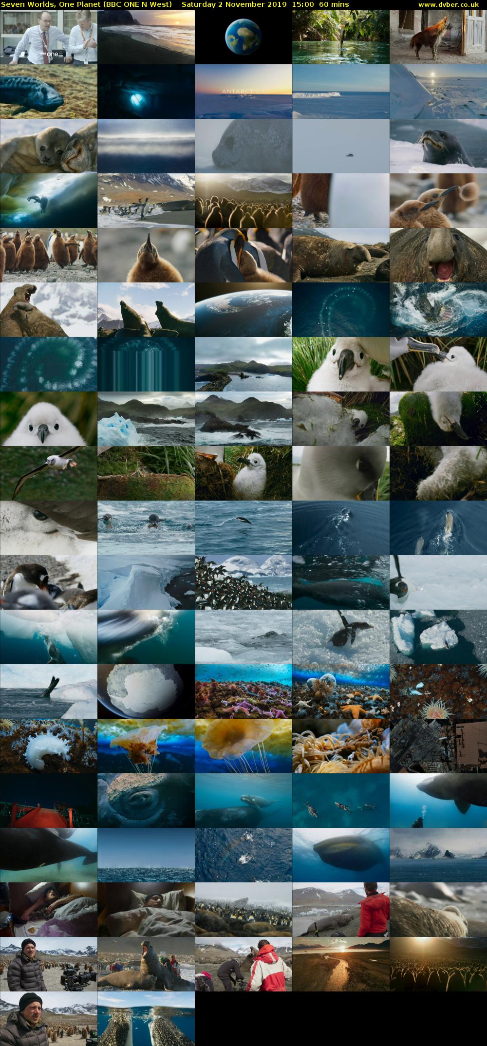 Seven Worlds, One Planet (BBC ONE N West) Saturday 2 November 2019 15:00 - 16:00