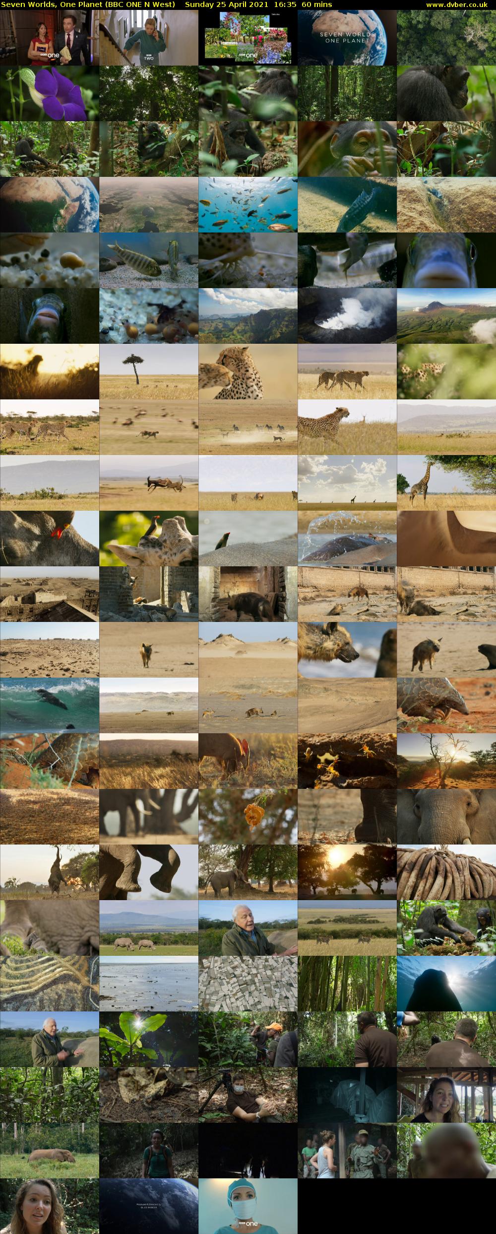 Seven Worlds, One Planet (BBC ONE N West) Sunday 25 April 2021 16:35 - 17:35