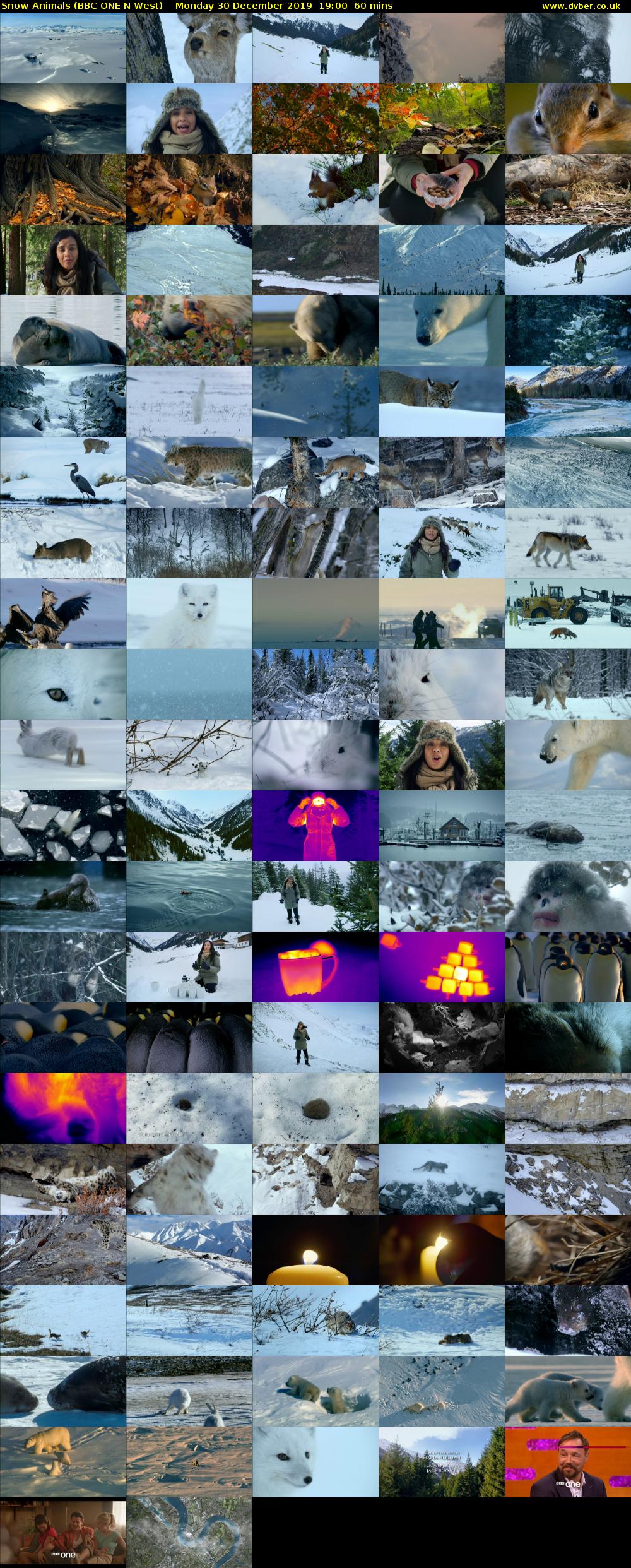 Snow Animals (BBC ONE N West) Monday 30 December 2019 19:00 - 20:00