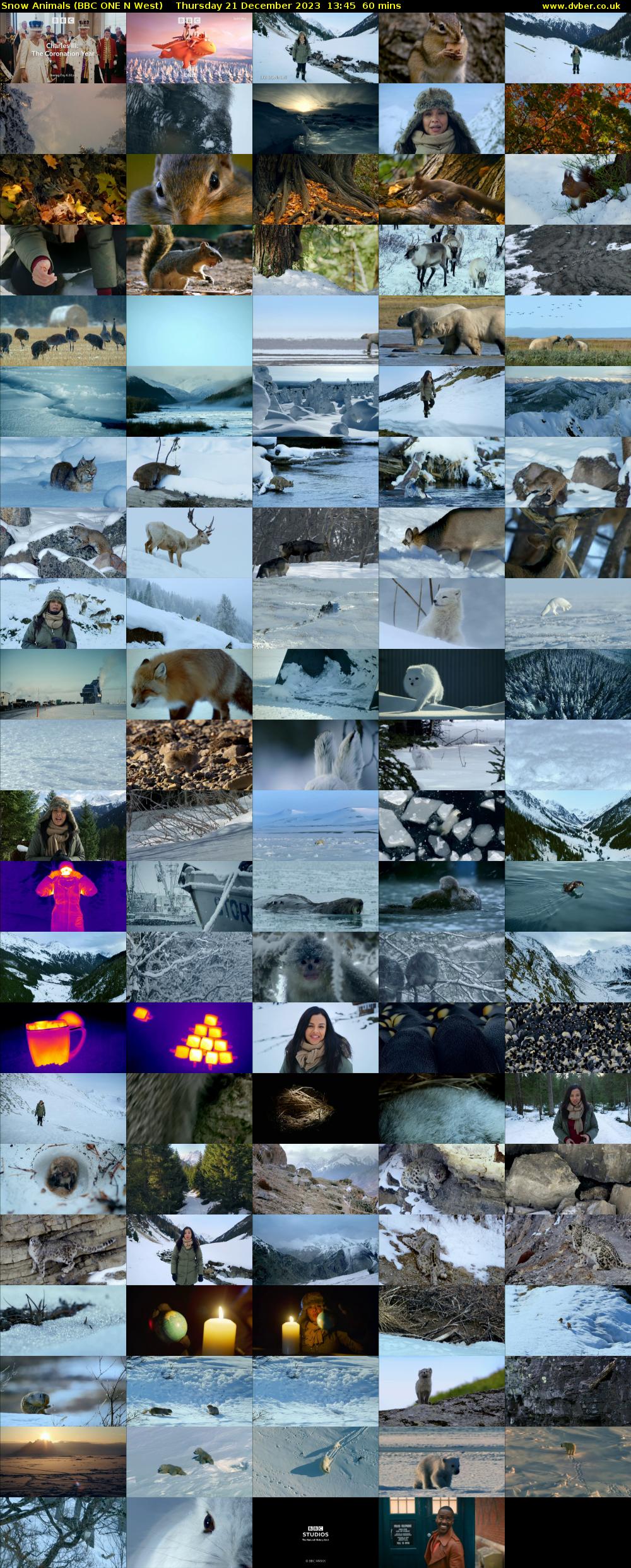 Snow Animals (BBC ONE N West) Thursday 21 December 2023 13:45 - 14:45