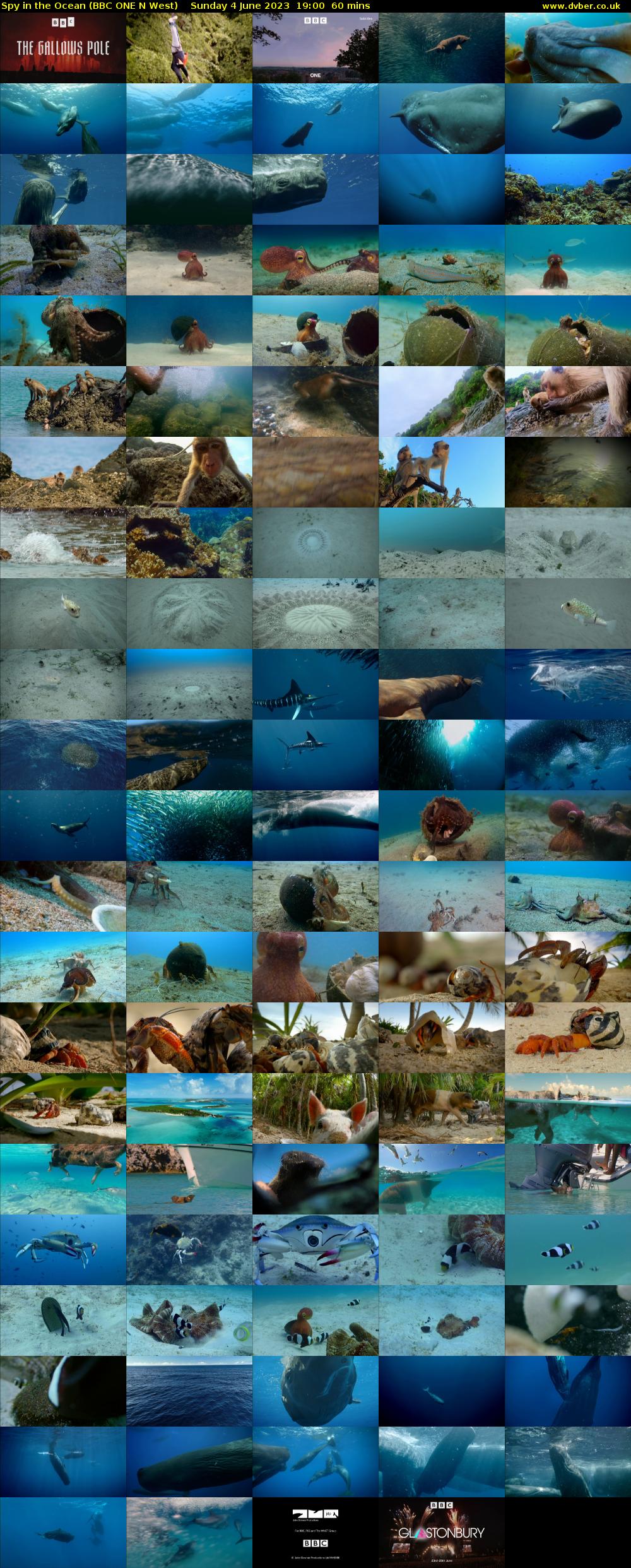 Spy in the Ocean (BBC ONE N West) Sunday 4 June 2023 19:00 - 20:00