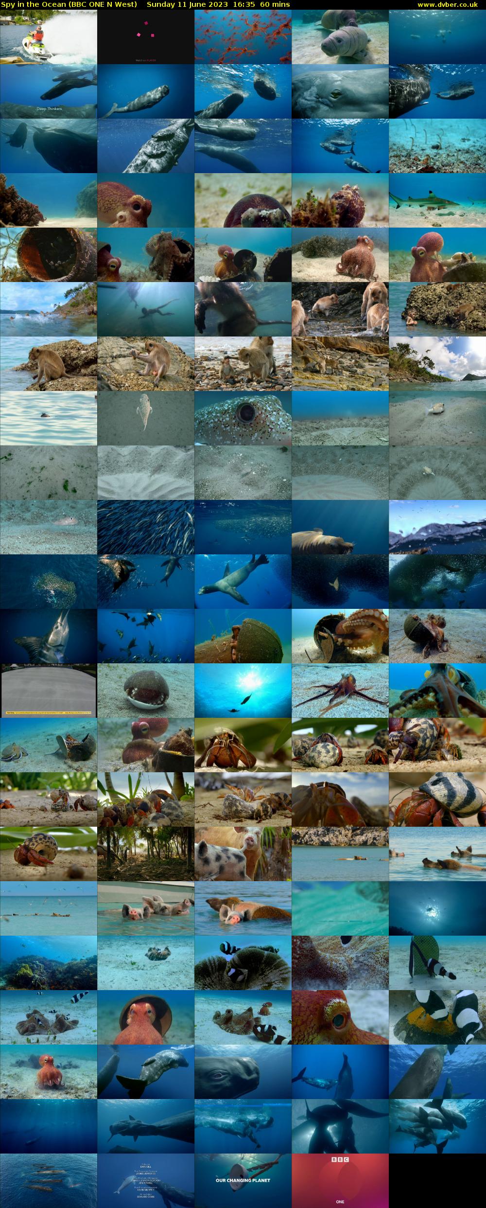 Spy in the Ocean (BBC ONE N West) Sunday 11 June 2023 16:35 - 17:35