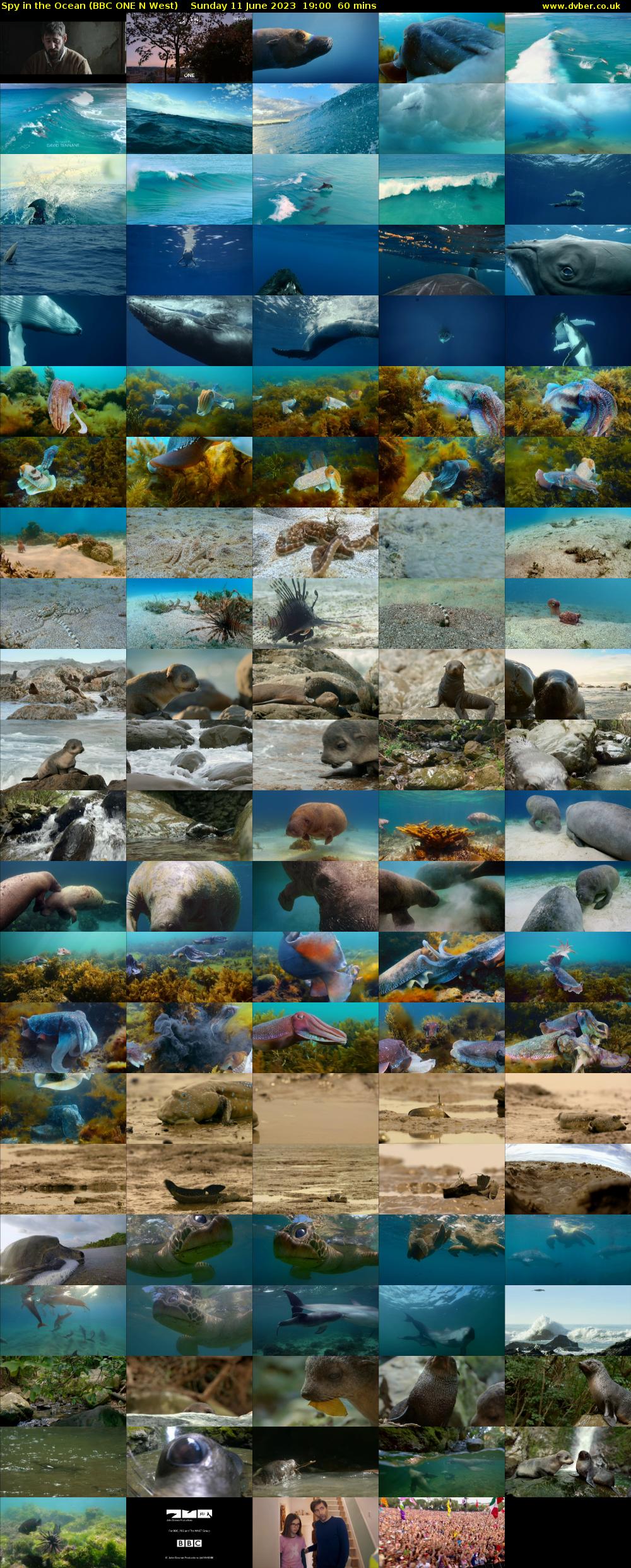 Spy in the Ocean (BBC ONE N West) Sunday 11 June 2023 19:00 - 20:00