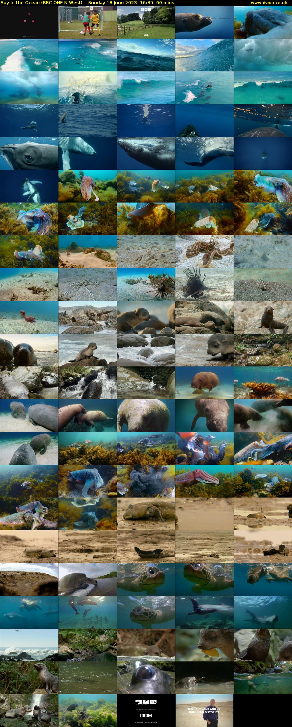 Spy in the Ocean (BBC ONE N West) Sunday 18 June 2023 16:35 - 17:35